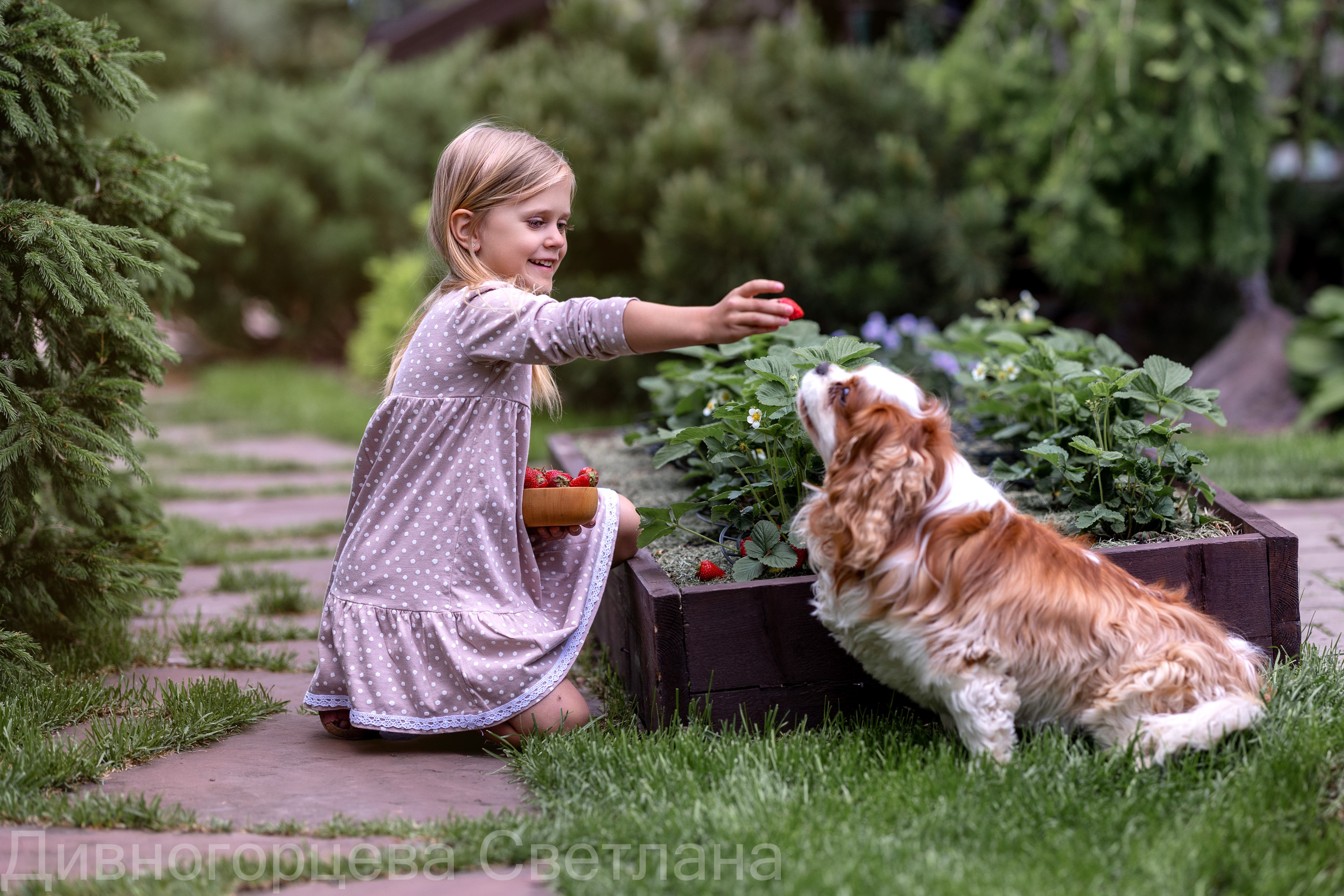 Ягодное Настроение. Семейный и детский фотограф в Красноярске, Дивногорцева Светлана