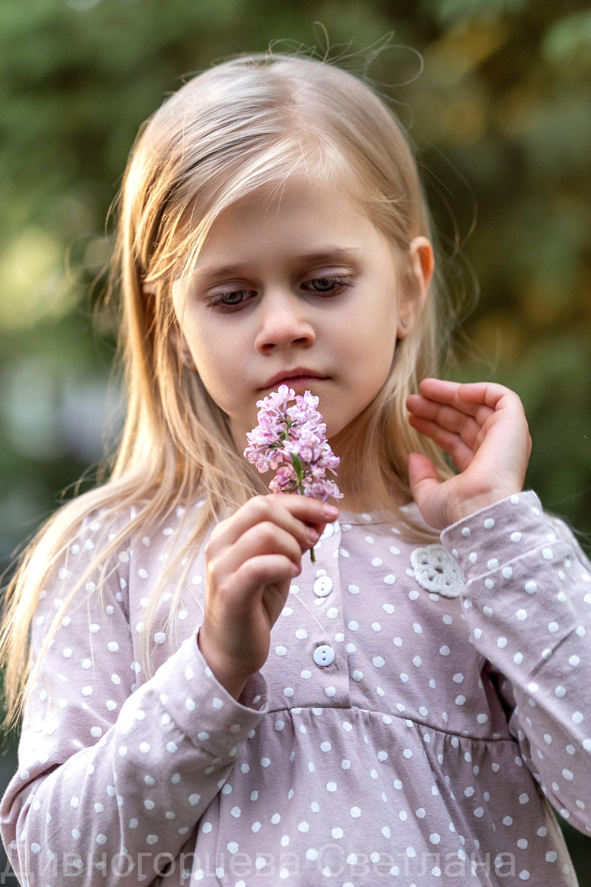 Ягодное Настроение. Семейный и детский фотограф в Красноярске, Дивногорцева Светлана