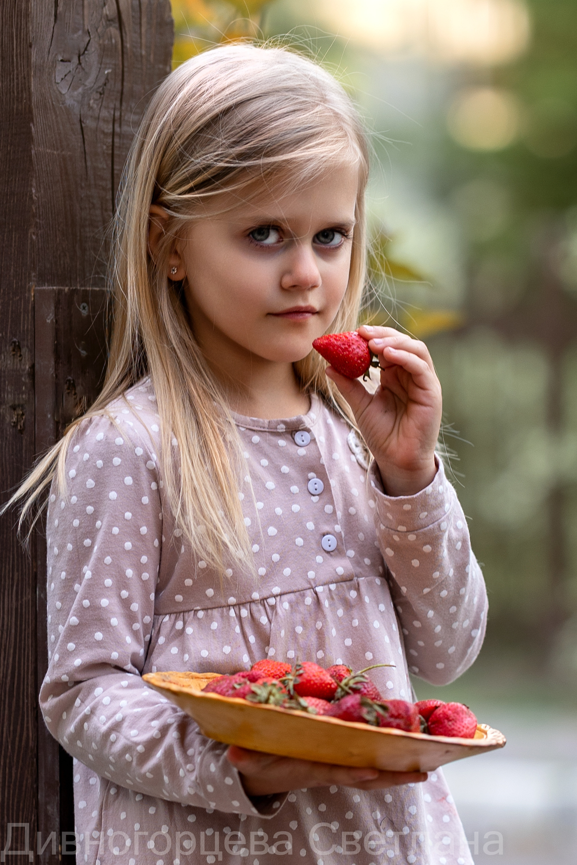 Ягодное Настроение. Семейный и детский фотограф в Красноярске, Дивногорцева Светлана