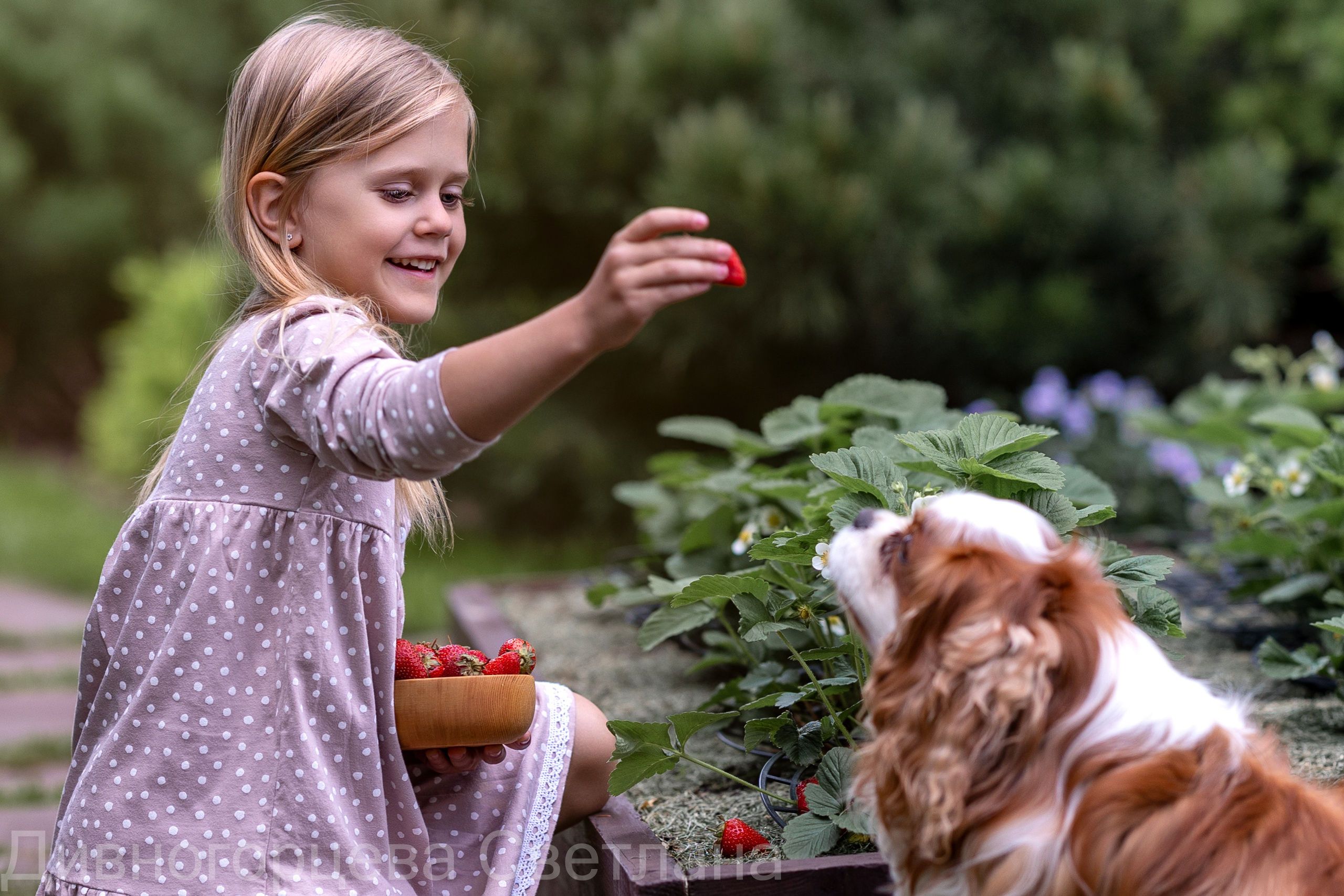 Ягодное Настроение. Семейный и детский фотограф в Красноярске, Дивногорцева Светлана