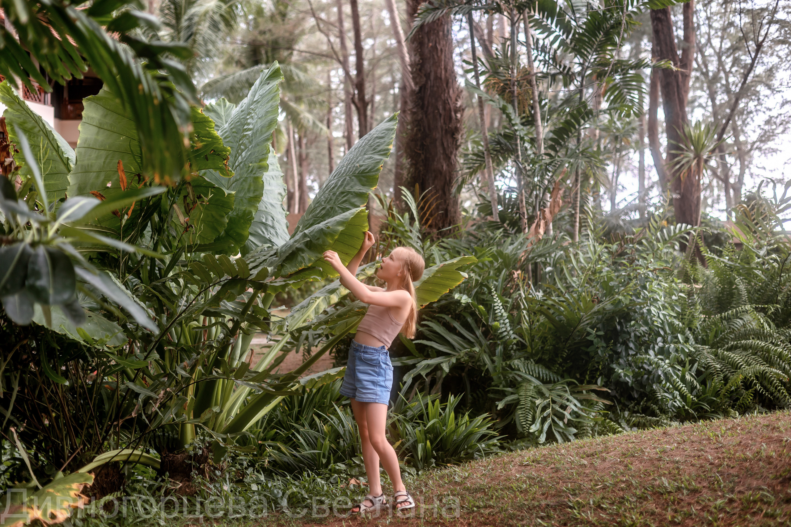Сказочный лес. Семейный и детский фотограф в Красноярске, Дивногорцева Светлана