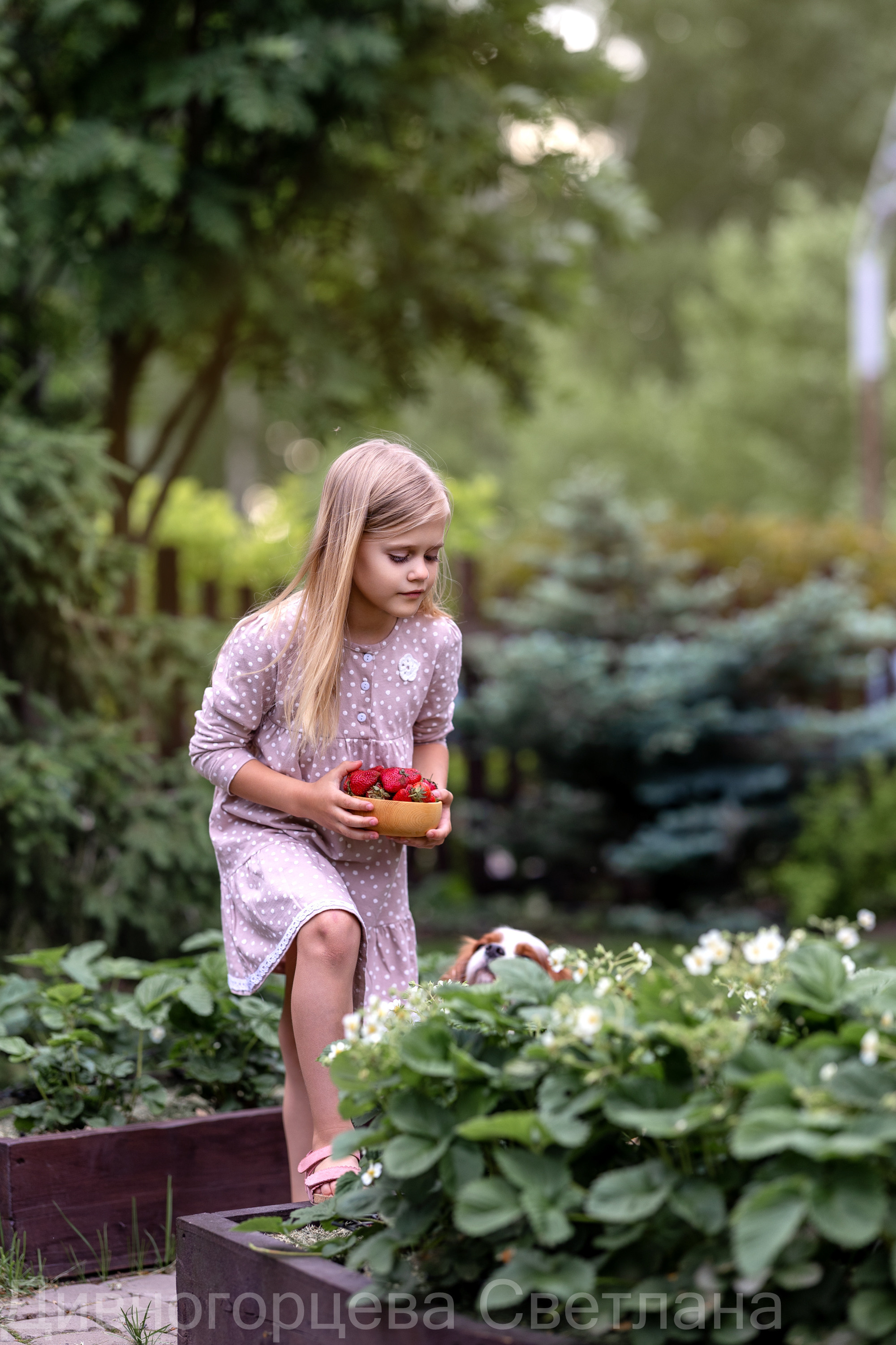 Ягодное Настроение. Семейный и детский фотограф в Красноярске, Дивногорцева Светлана