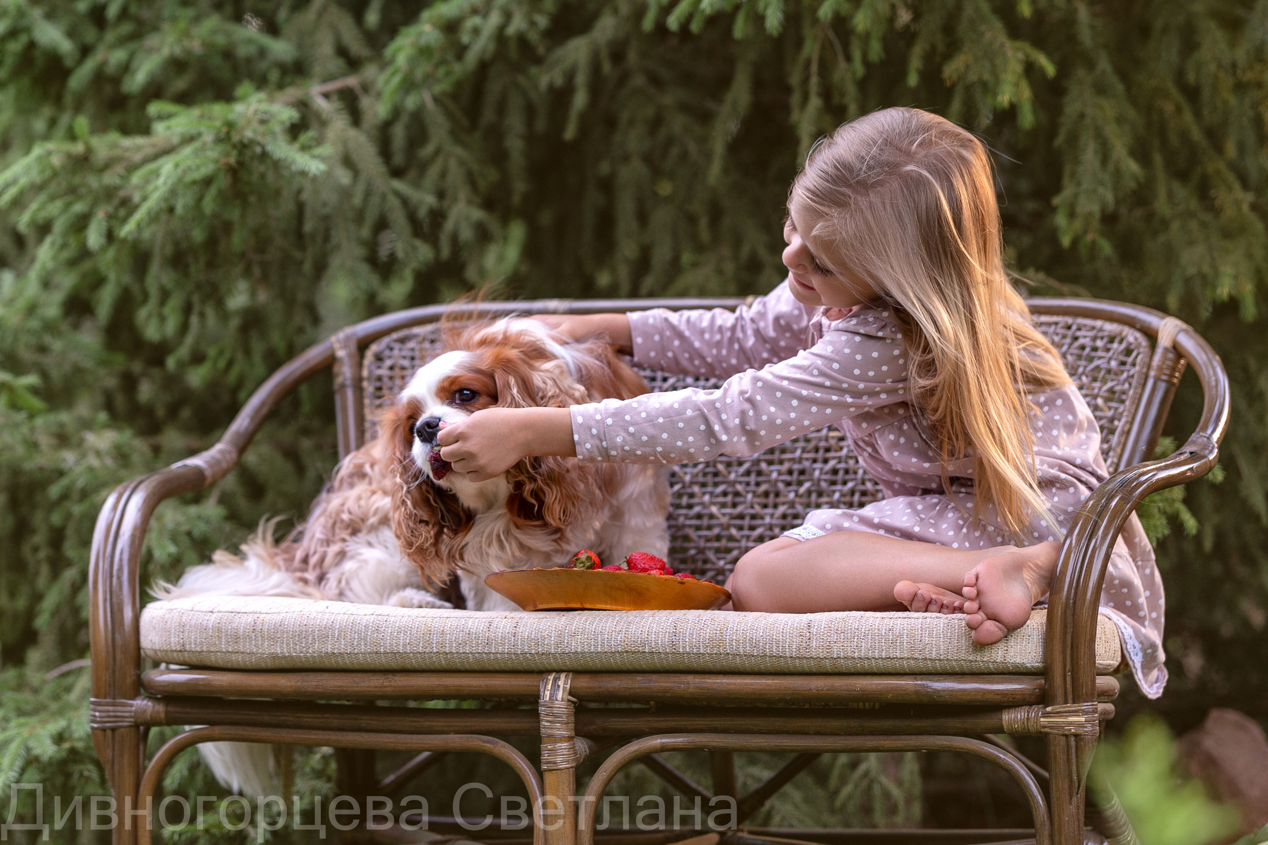 Ягодное Настроение. Семейный и детский фотограф в Красноярске, Дивногорцева Светлана
