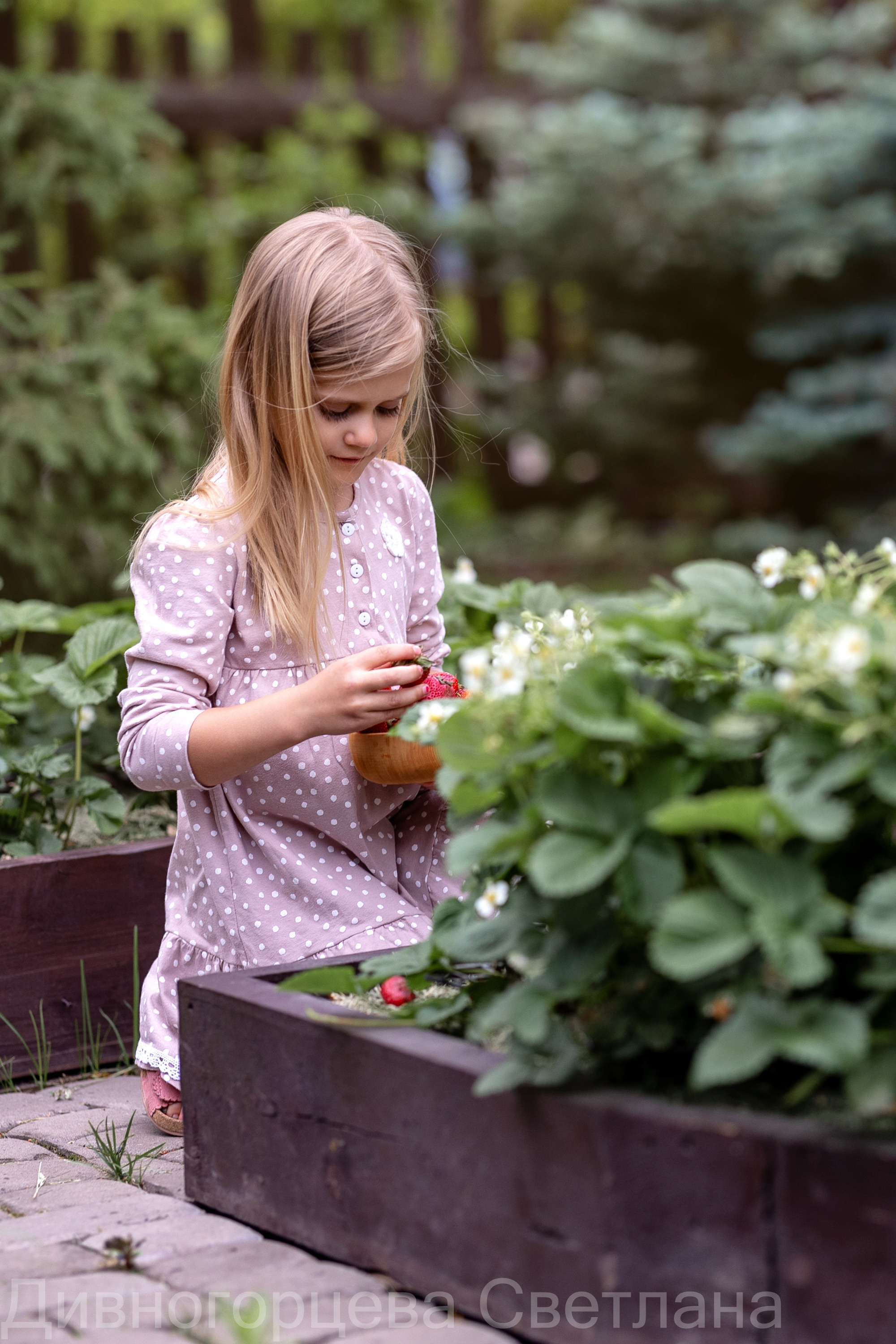 Ягодное Настроение. Семейный и детский фотограф в Красноярске, Дивногорцева Светлана