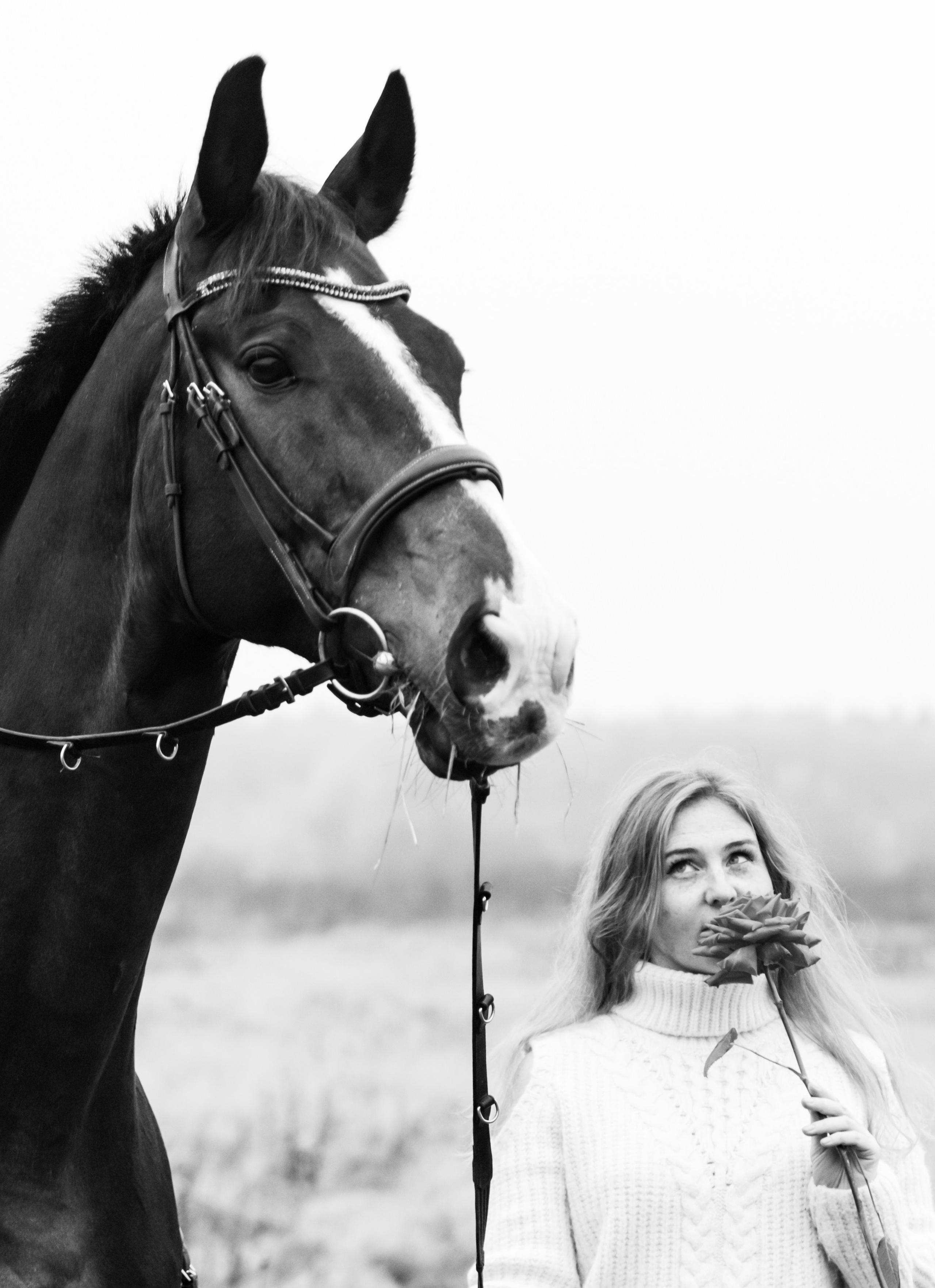Фотосессии с лошадьми. Марина Егорикова | Конный фотограф | Москва