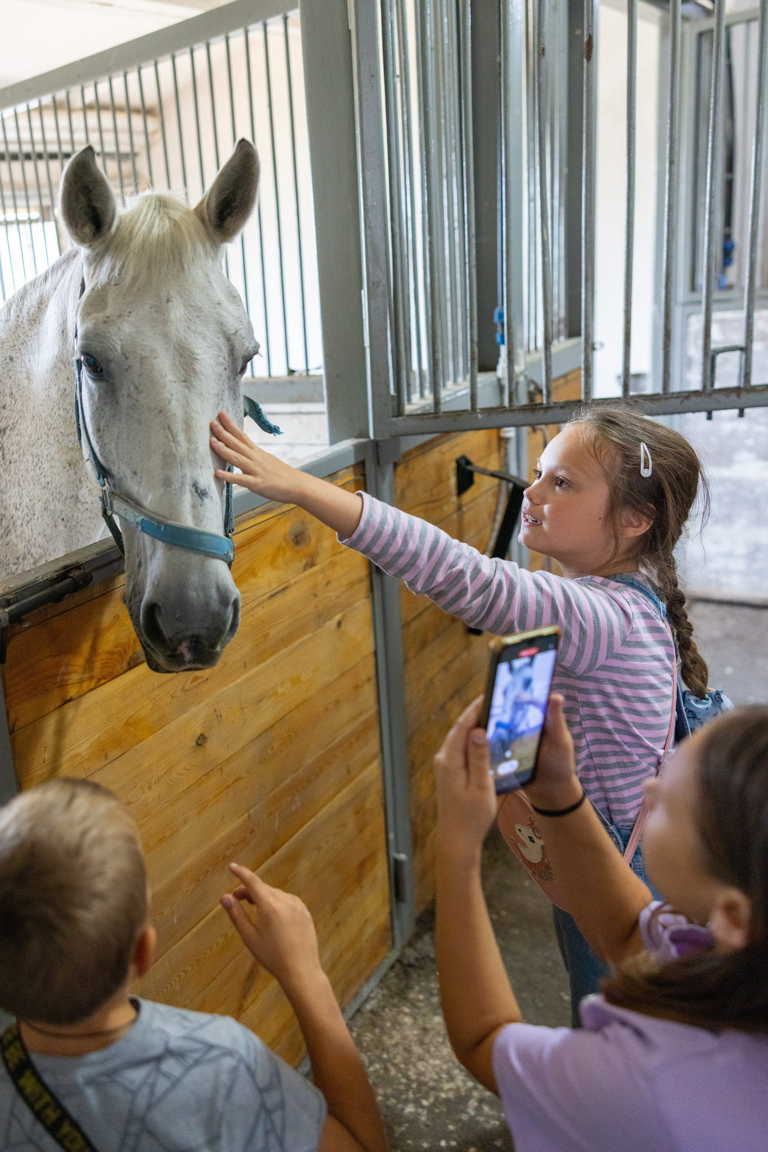Поездка на поле Кулеково. Фотограф в Туле Крупский АнДРей. Фотостудия «КАДР71» в Туле