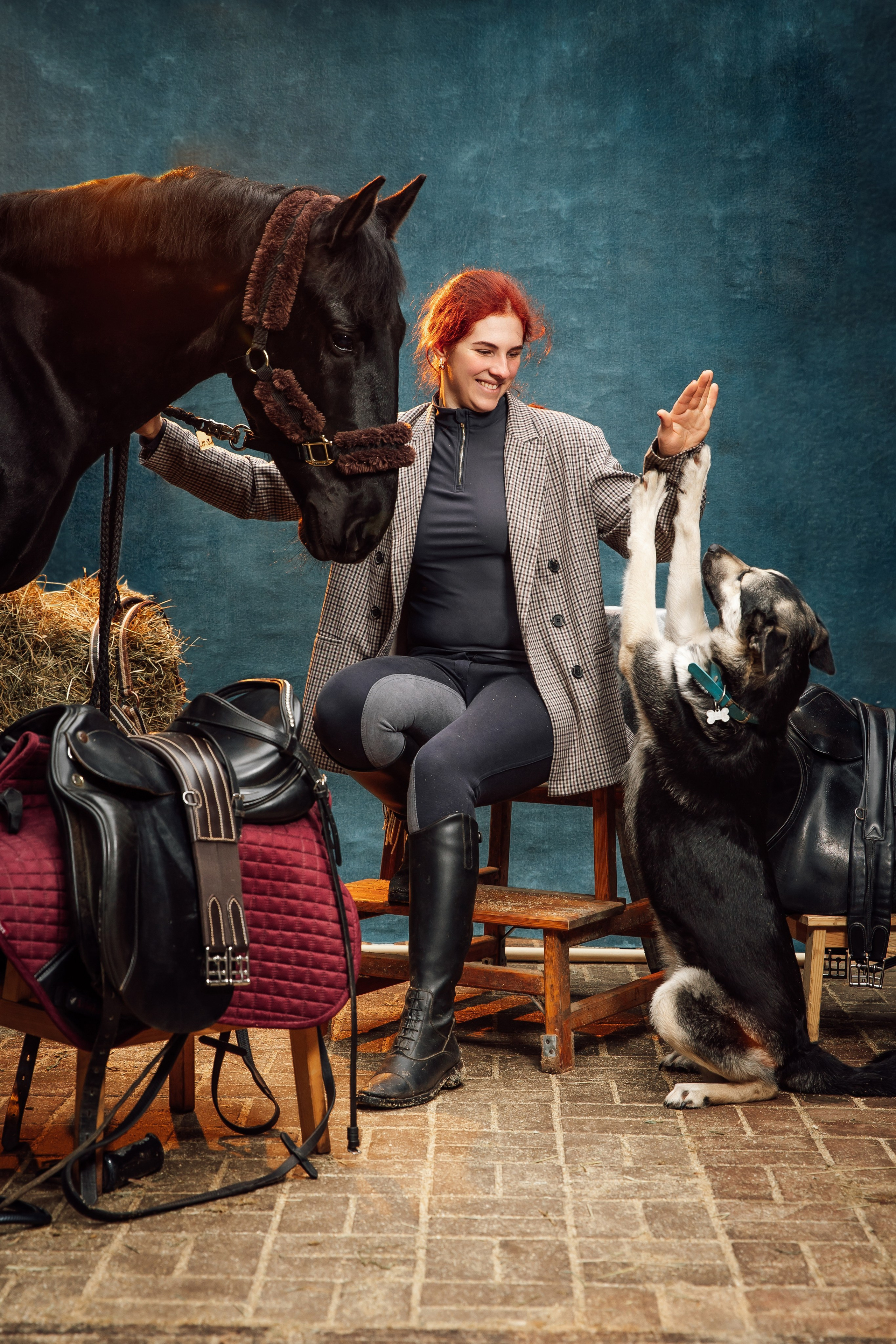 ФОТОСЕССИИ С ЖИВОТНЫМИ. Свадебный фотограф Санкт-Петербург Катерина Ширяева