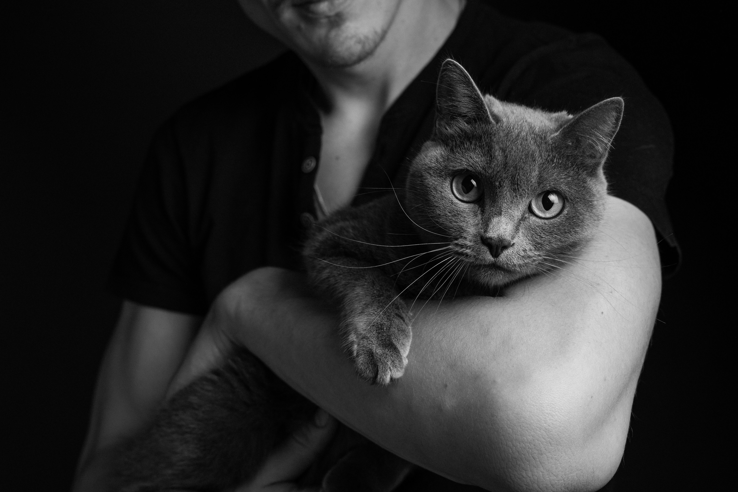 ФОТОСЕССИИ С ЖИВОТНЫМИ. Свадебный фотограф Санкт-Петербург Катерина Ширяева