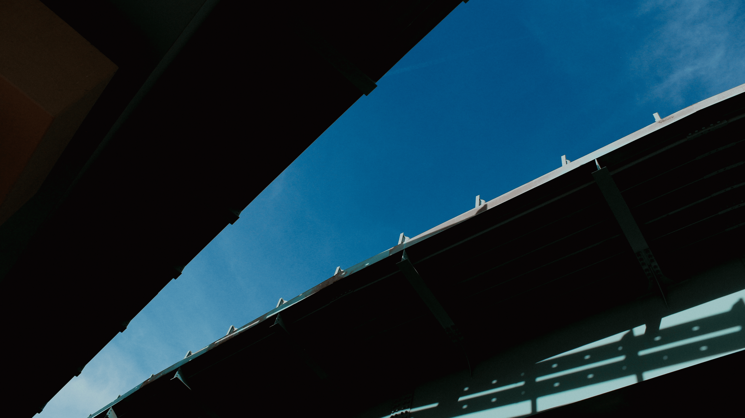 TMN summer '24. Фотограф/дизайнер в Екатеринбурге Хитрый Дмитрий