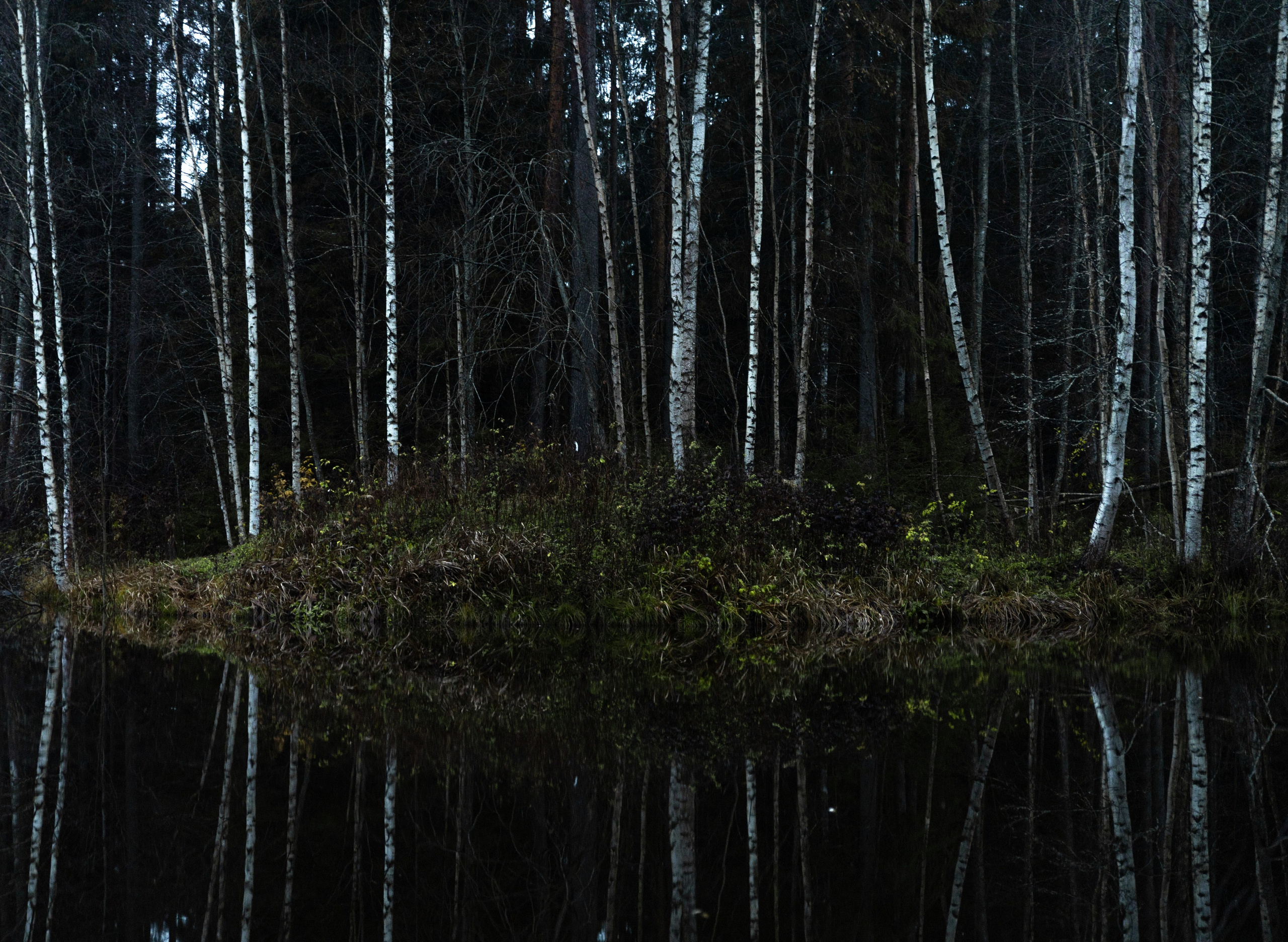Пейзажи. Привет, я Лиза, я  занимаюсь портретной фотографией всех направлений в Санкт-Петербурге