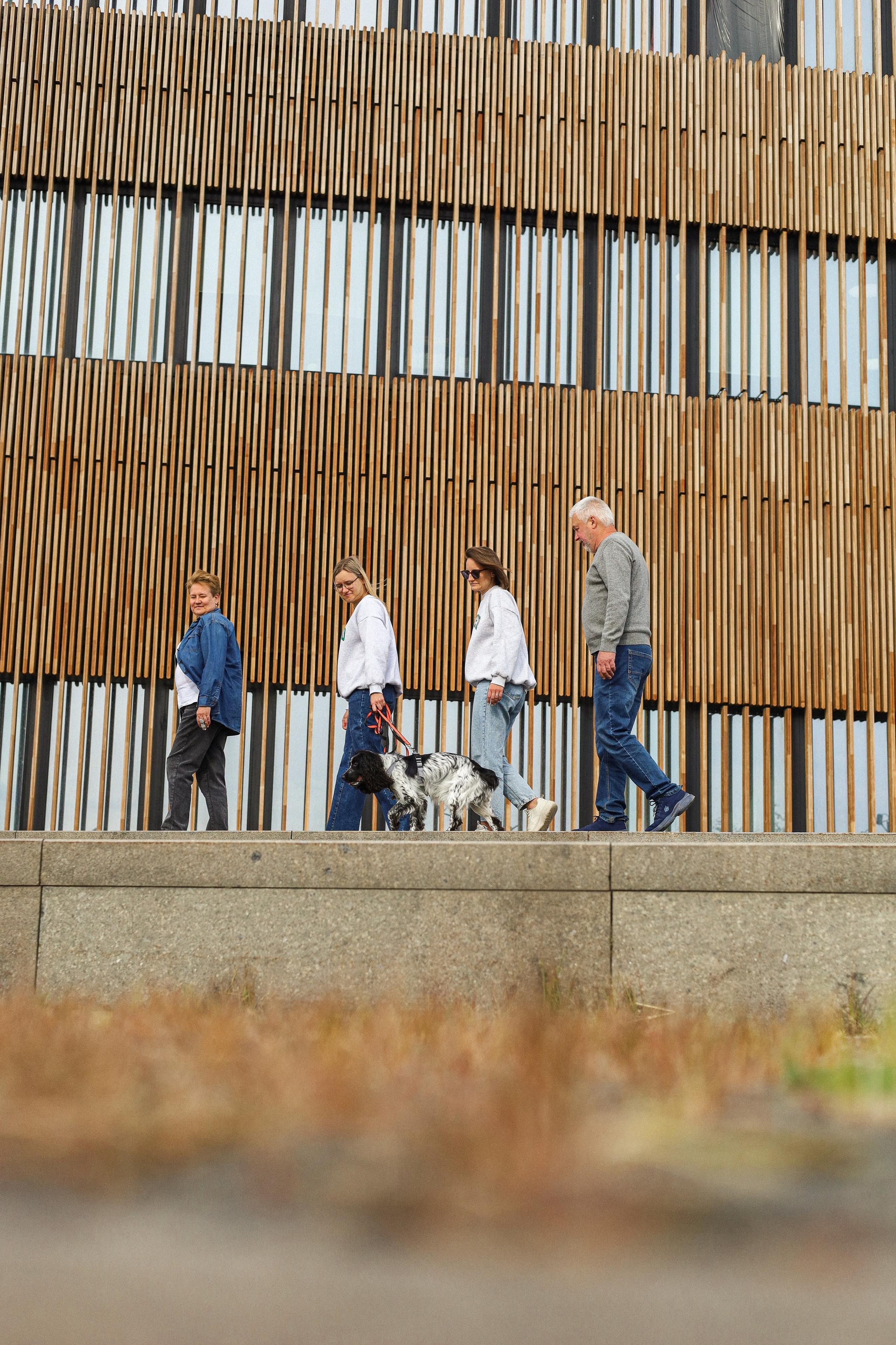 Купер и его семья. Фотограф-анималист Ксения Шевцова|Москва