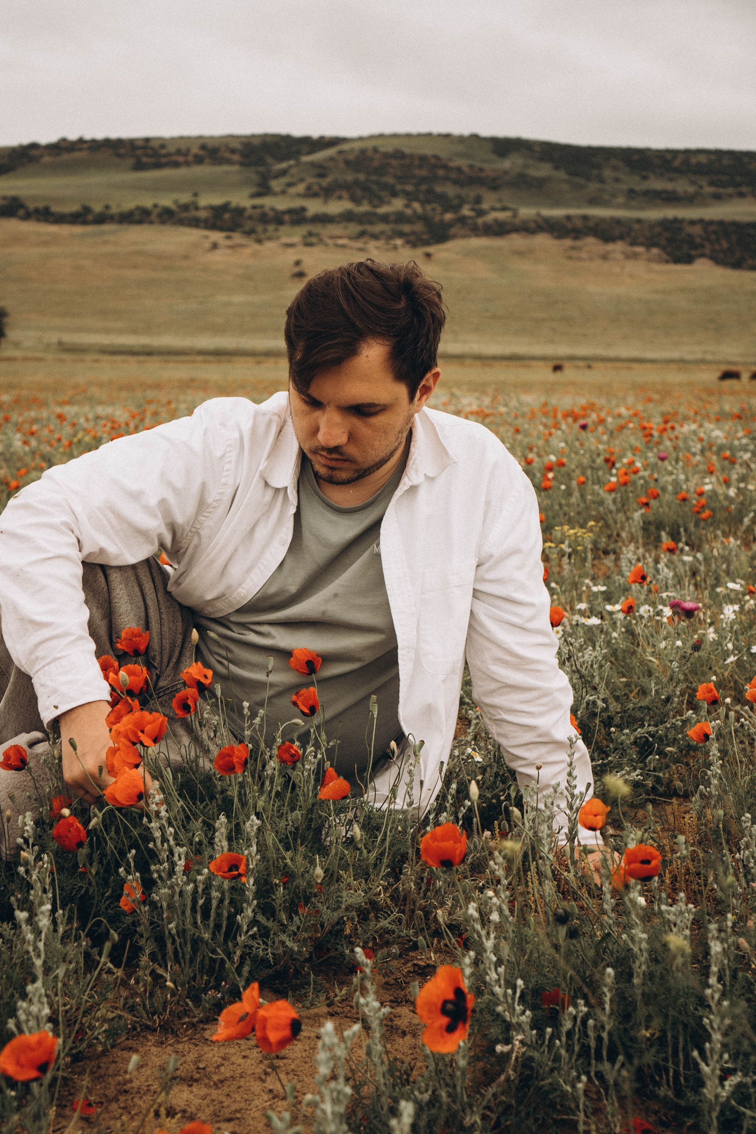 Маки. Профессиональный фотограф, Санкт-Петербург — Виктория Богомолова