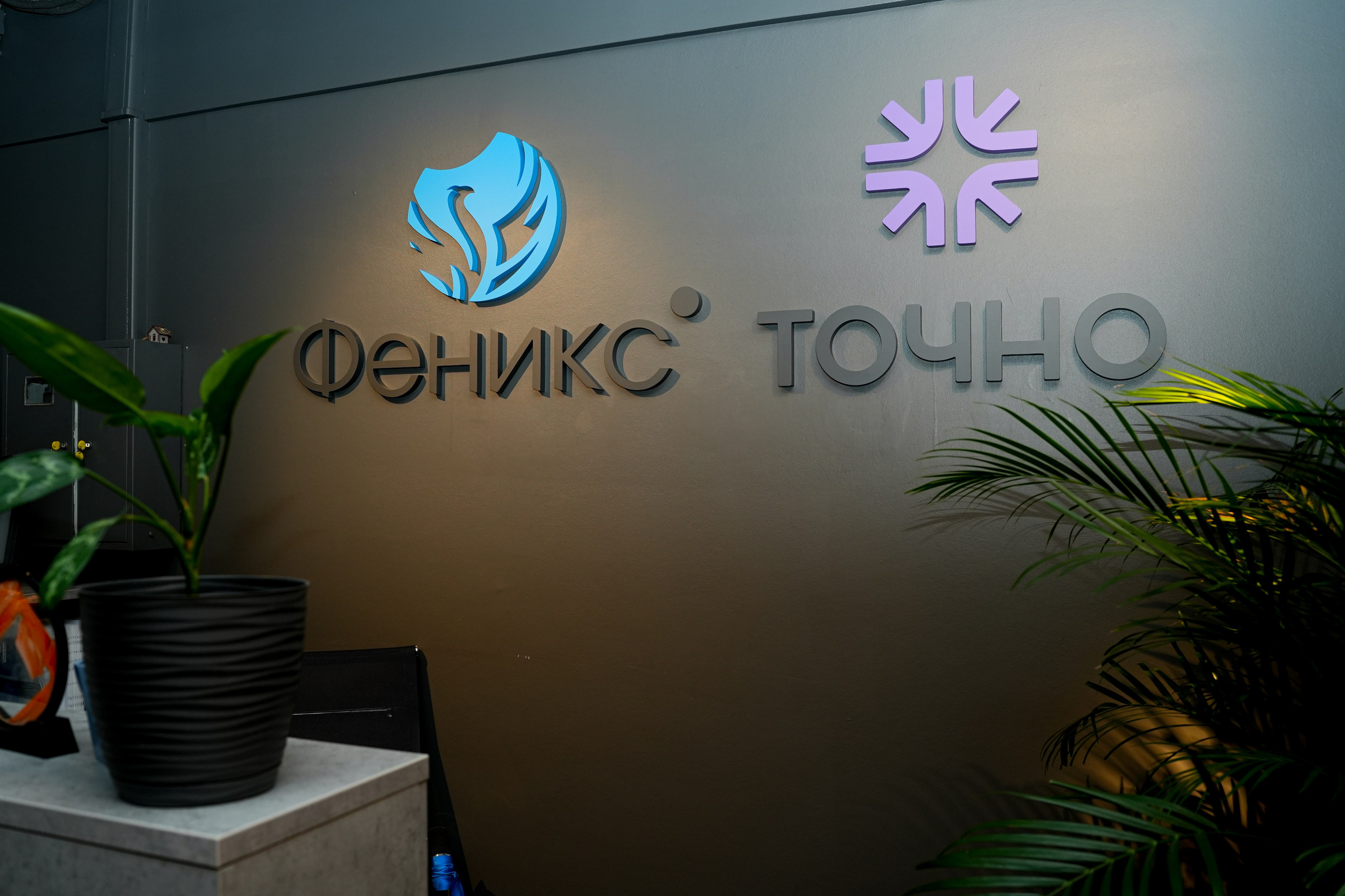 Студия и офис. Фотограф Элина Задорожная