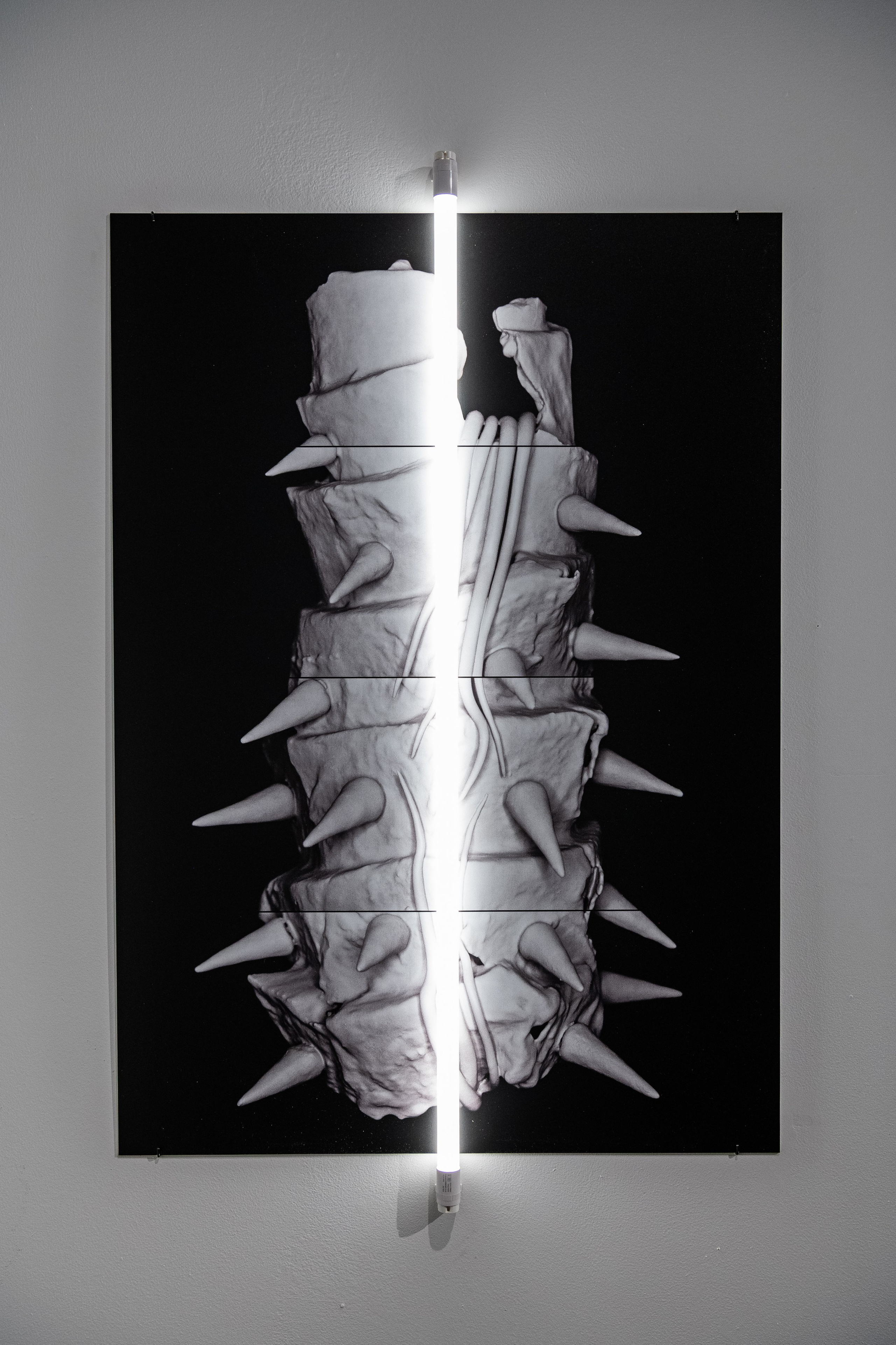 Новая готика. Илья Крончев-Иванов