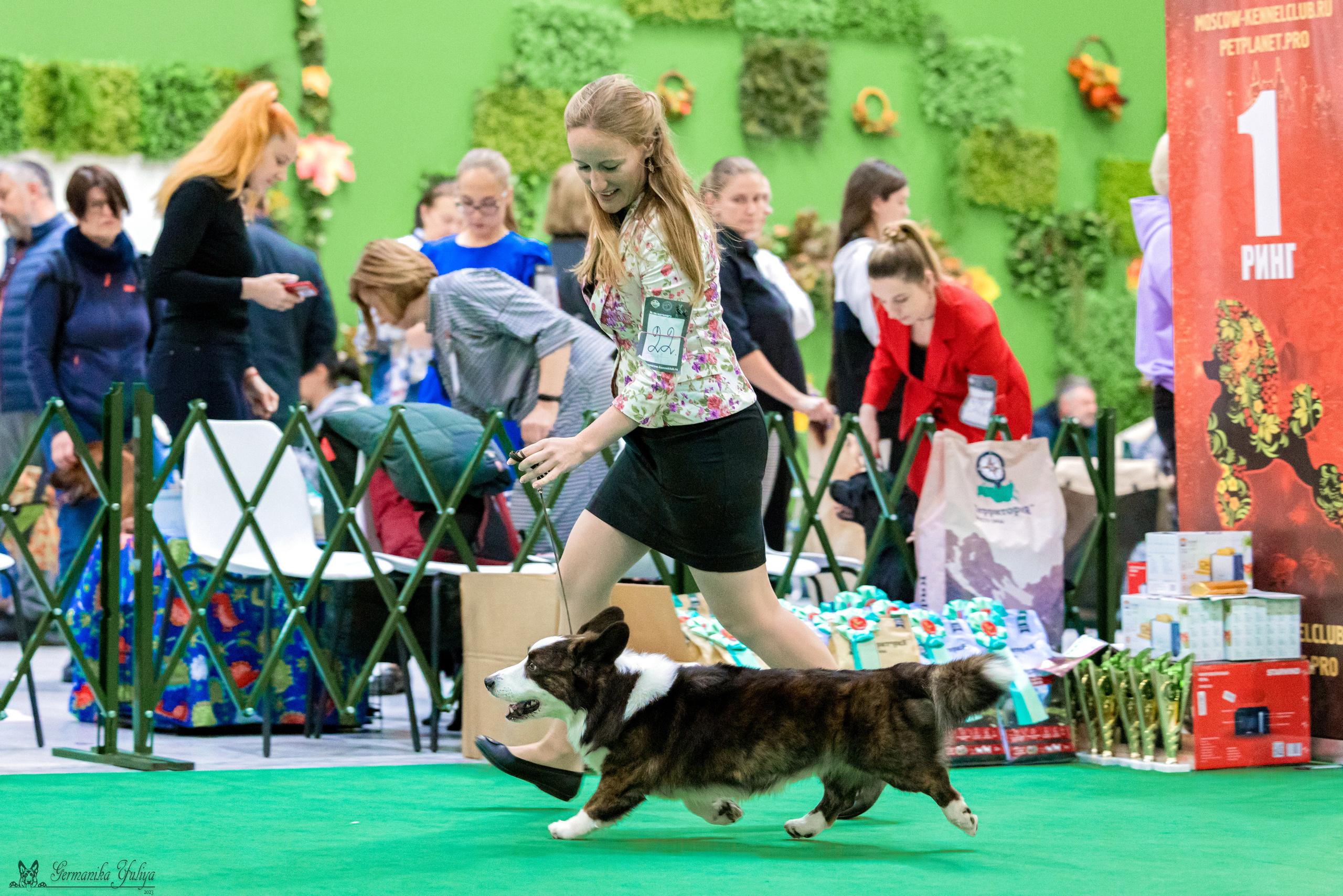 Сфера 29.10,Крокус 4.11,Сфера 12.11.2023. Фотограф-анималист Юлия Германика