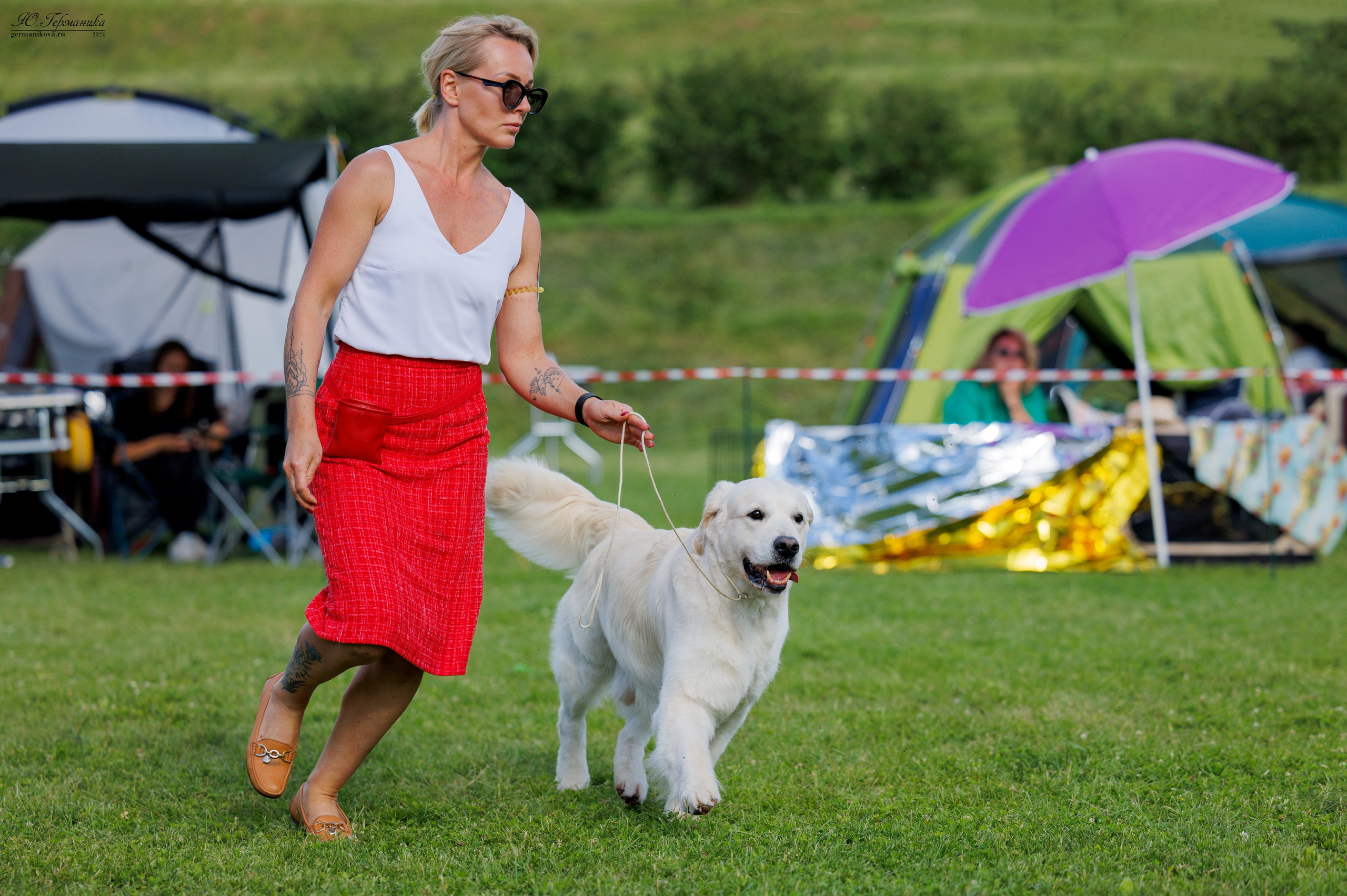 Голдены 15-16.06.2024. Фотограф-анималист Юлия Германика