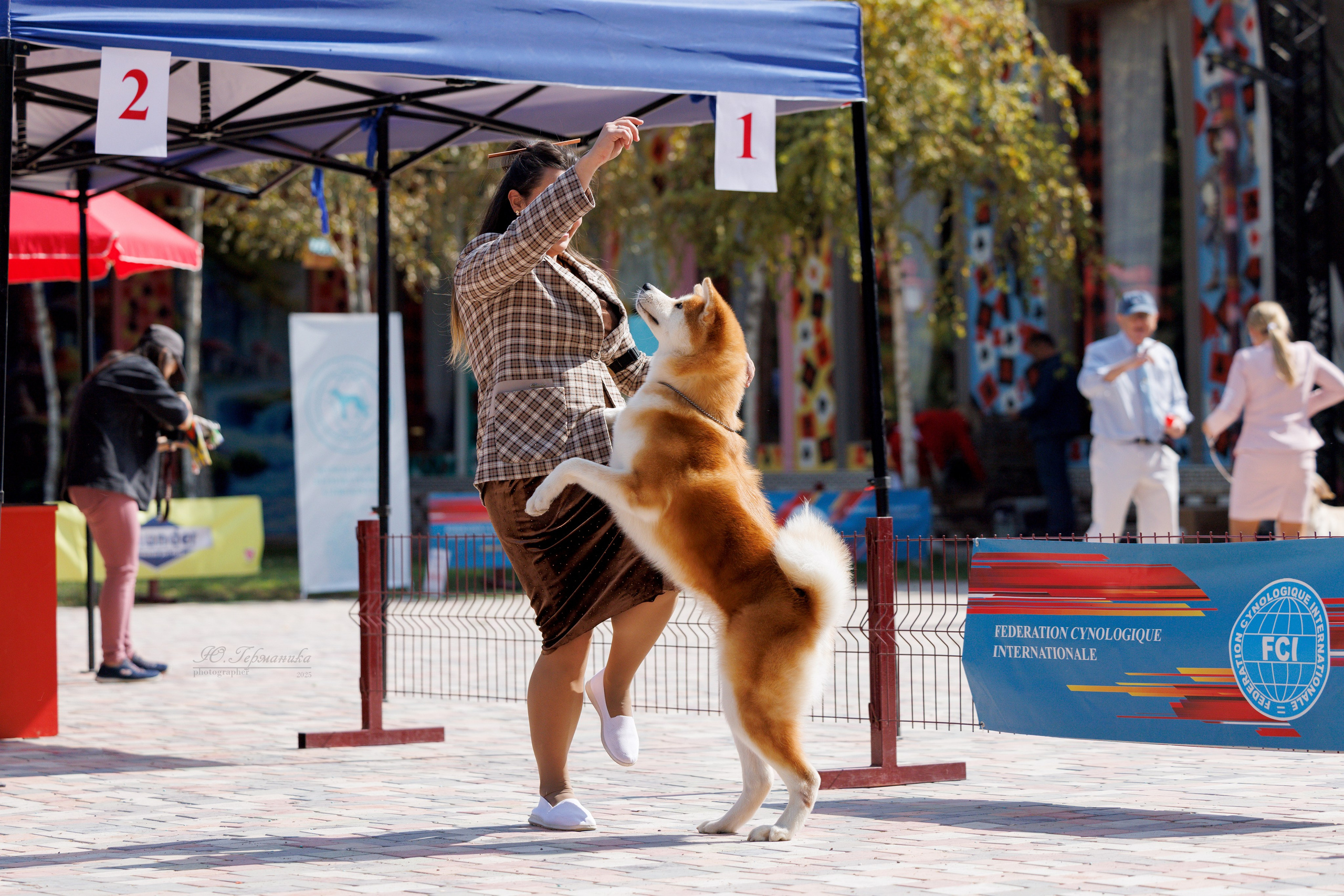 Ташкент 3хCACIB 3-5.10.2025. Фотограф-анималист Юлия Германика