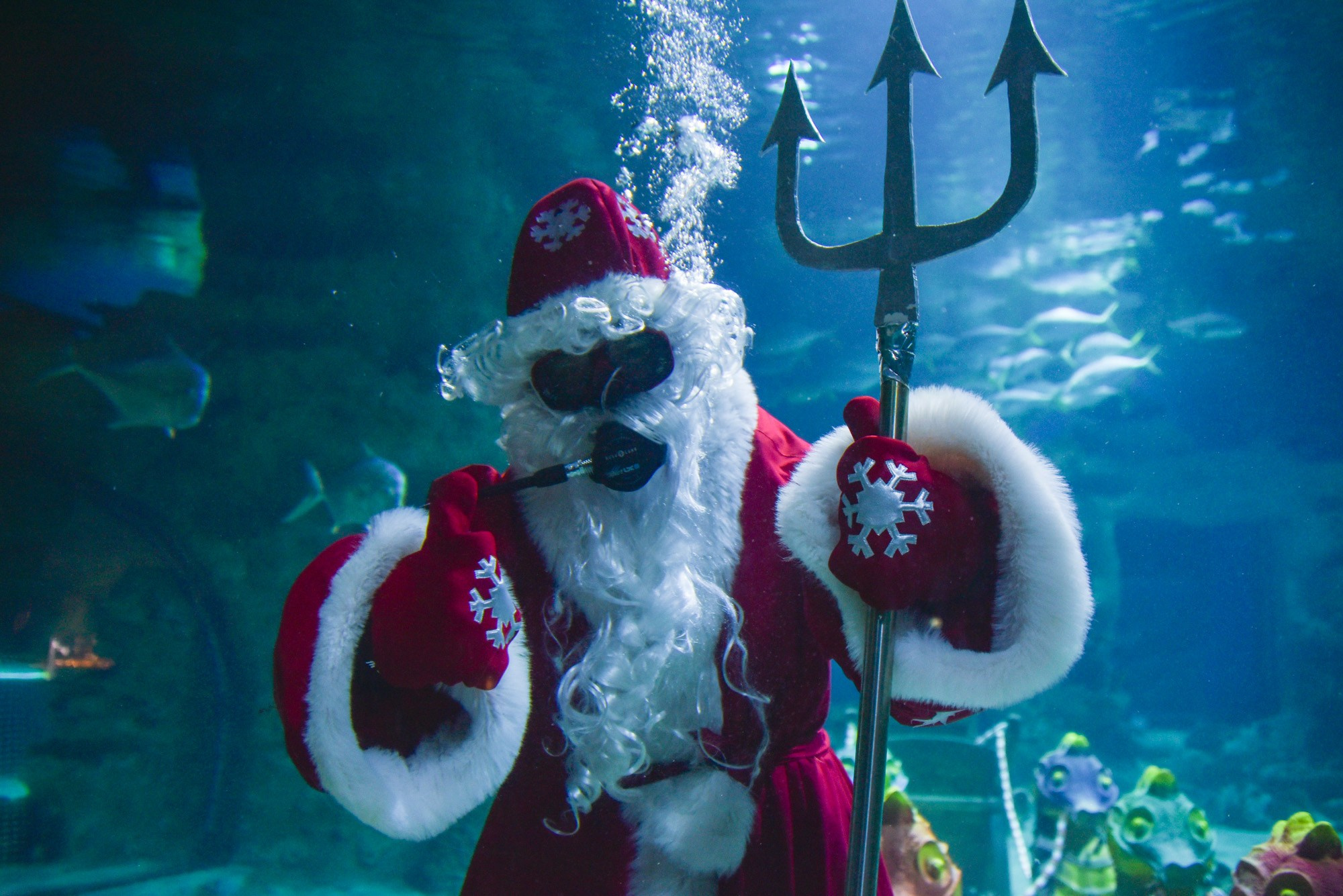 Репортаж. Антон Великжанин — фотокорреспондент