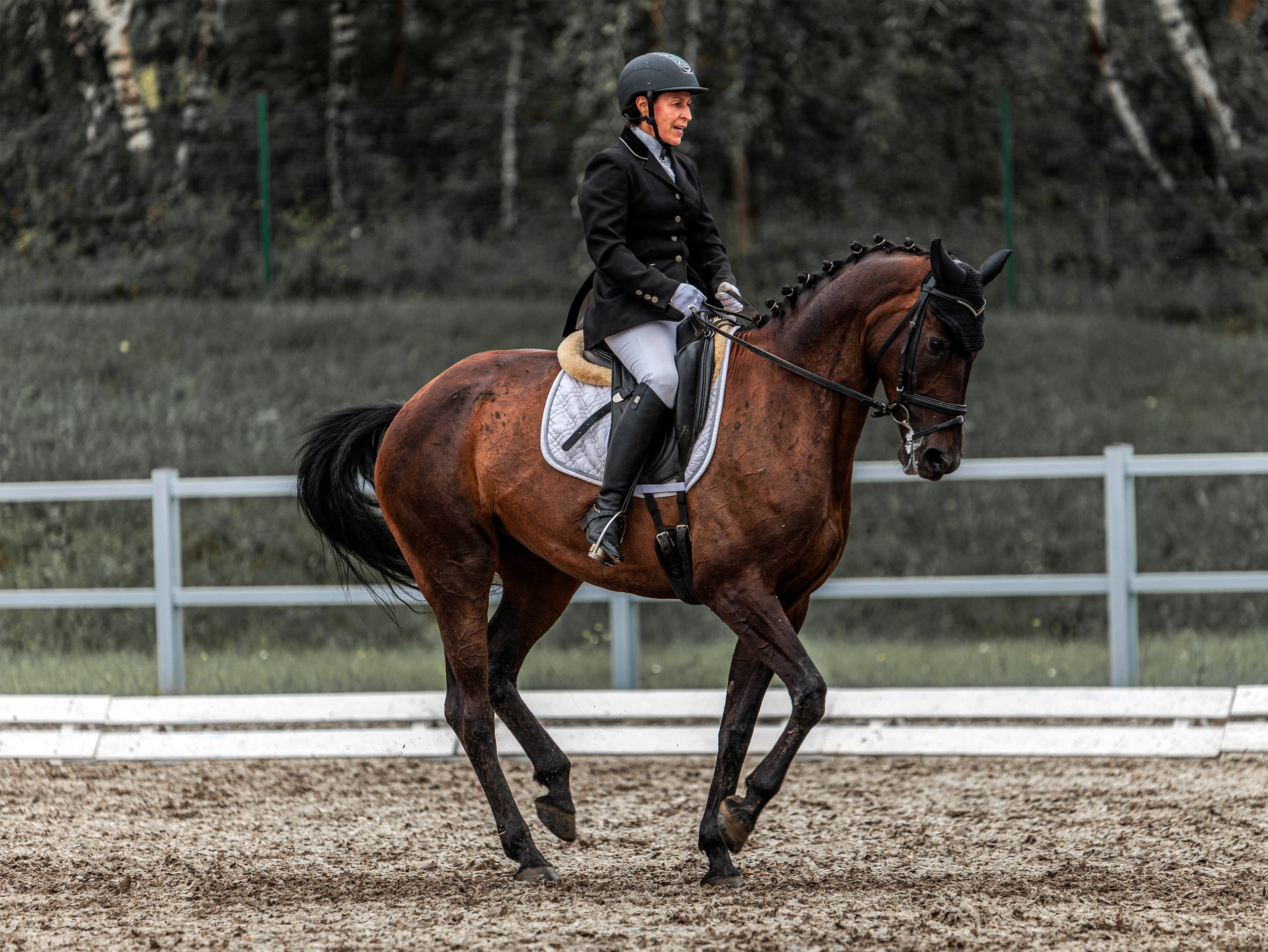 2025. Конный фотограф в Красноярске — Любовь Похабова