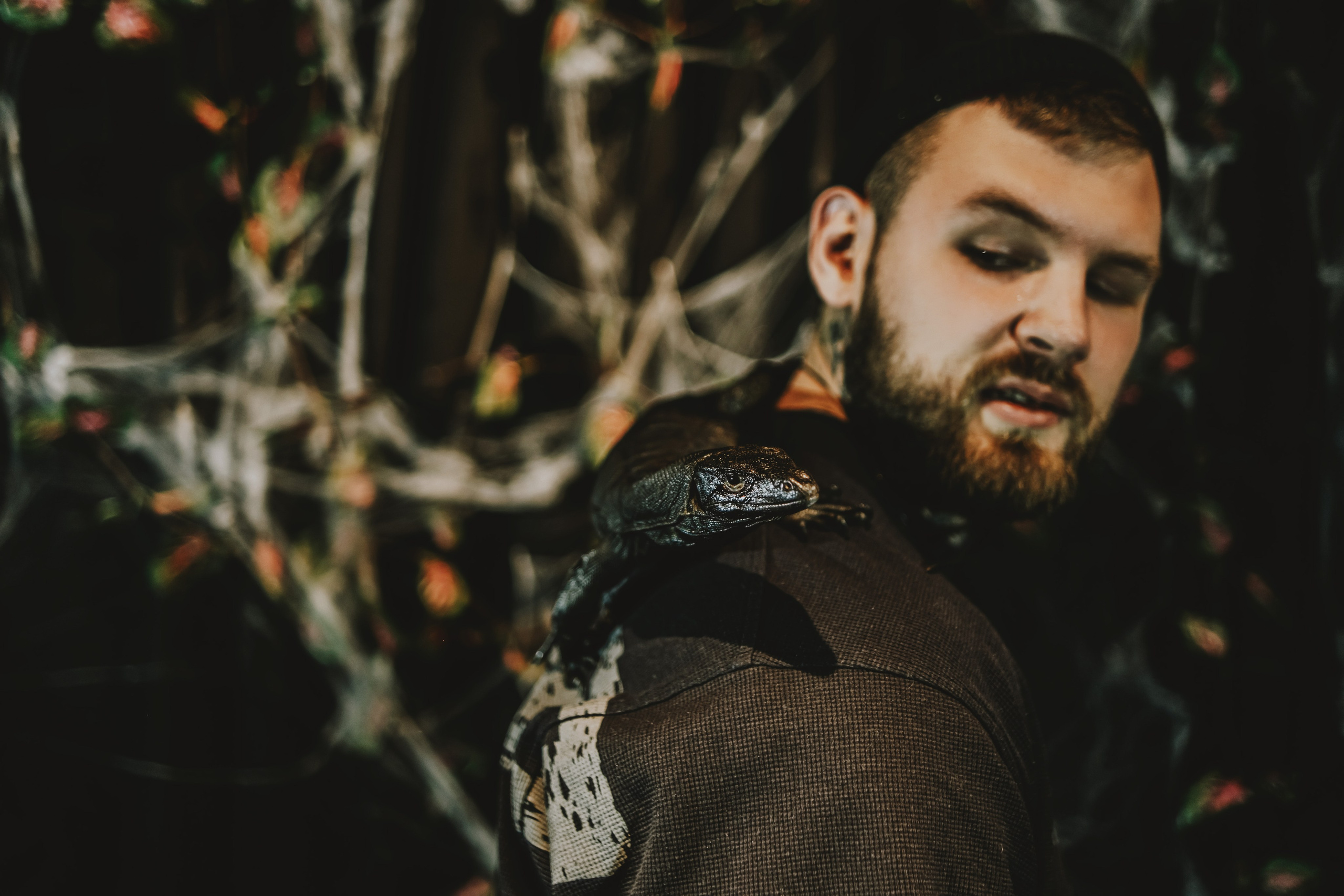 Дом Драконов. Nattie.ph