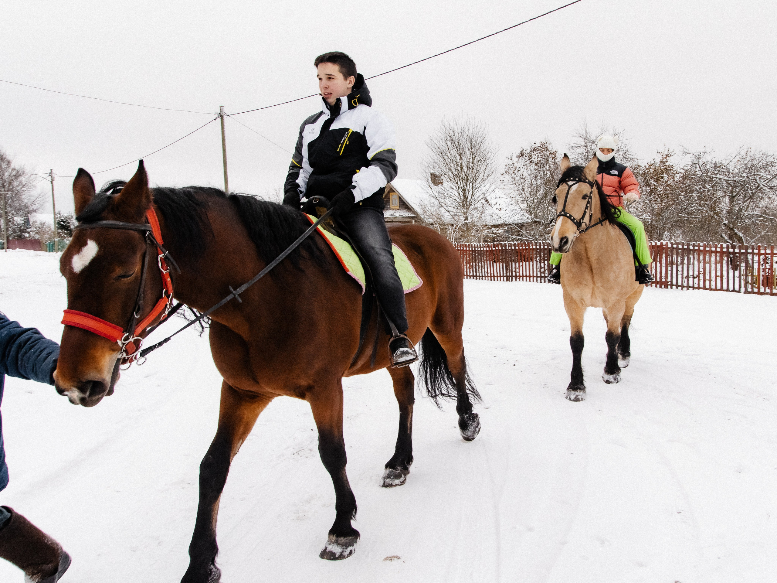 Миниферма в Теребочево. Свадебный и семейный фотограф в г. Волхов Алексей Кочерыжкин