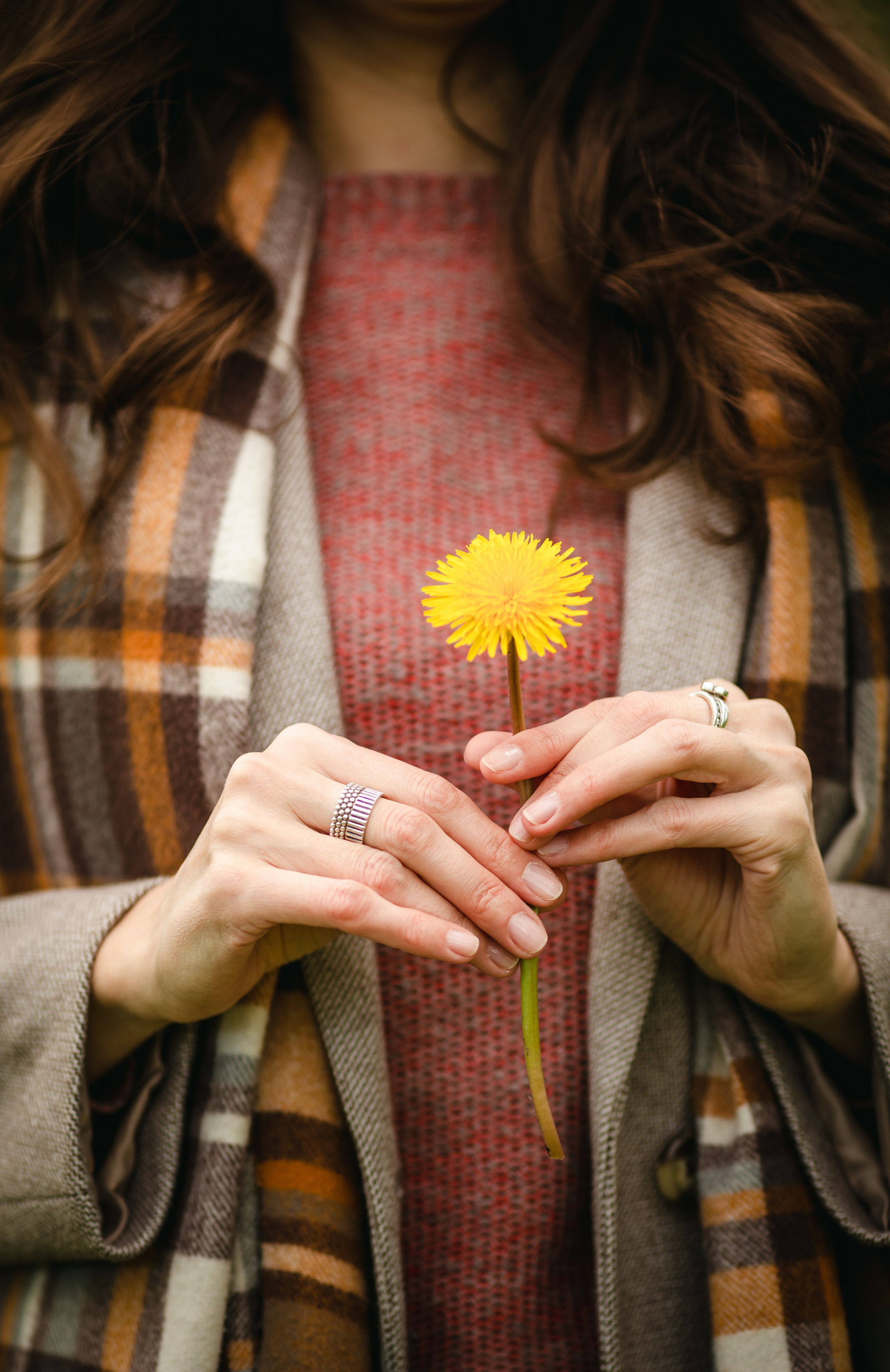 Яблони в цвету. Olga.filippova.photo