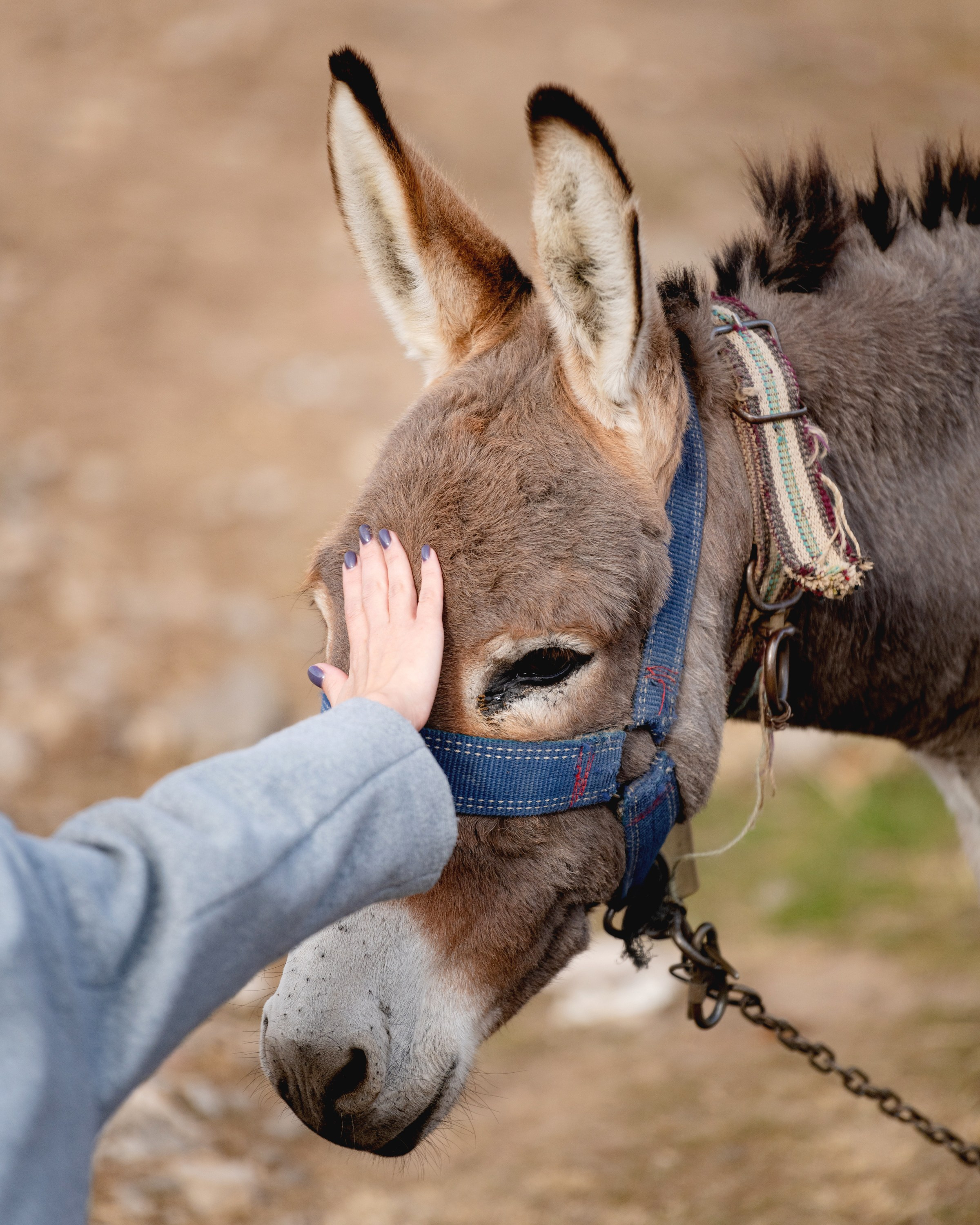 Turkey. Photographer in Tokyo Anatolii Ozarto