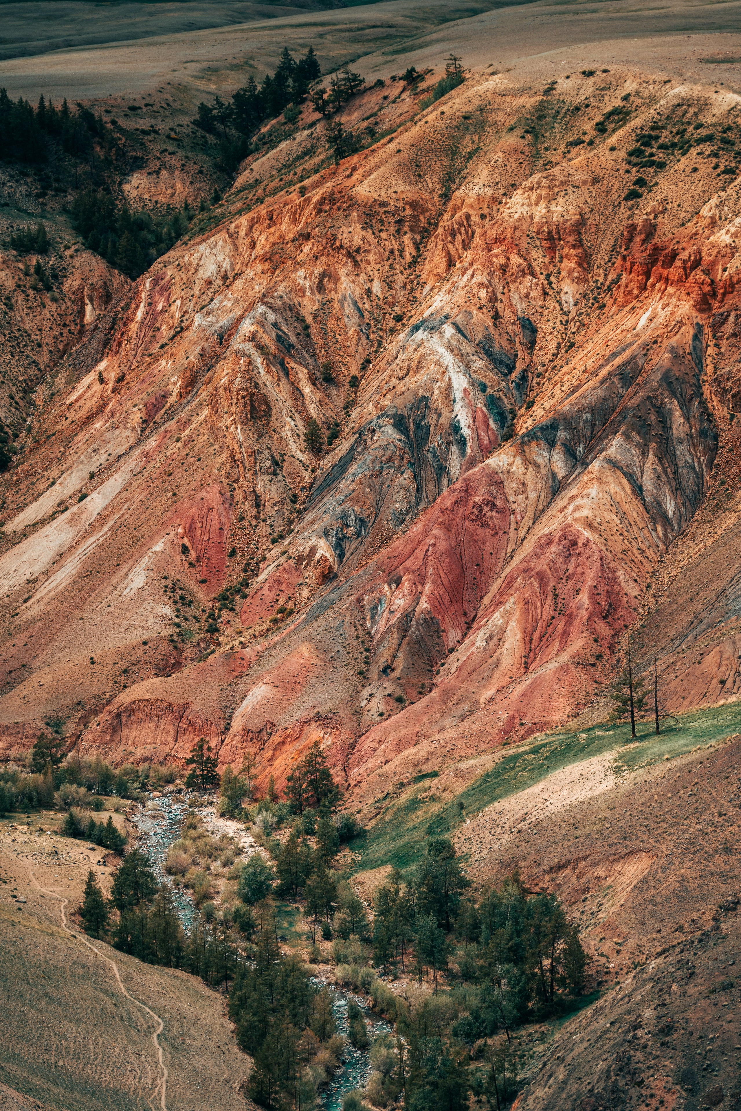Алтай. Оператор и Фотограф в Санкт-Петербурге и Москве