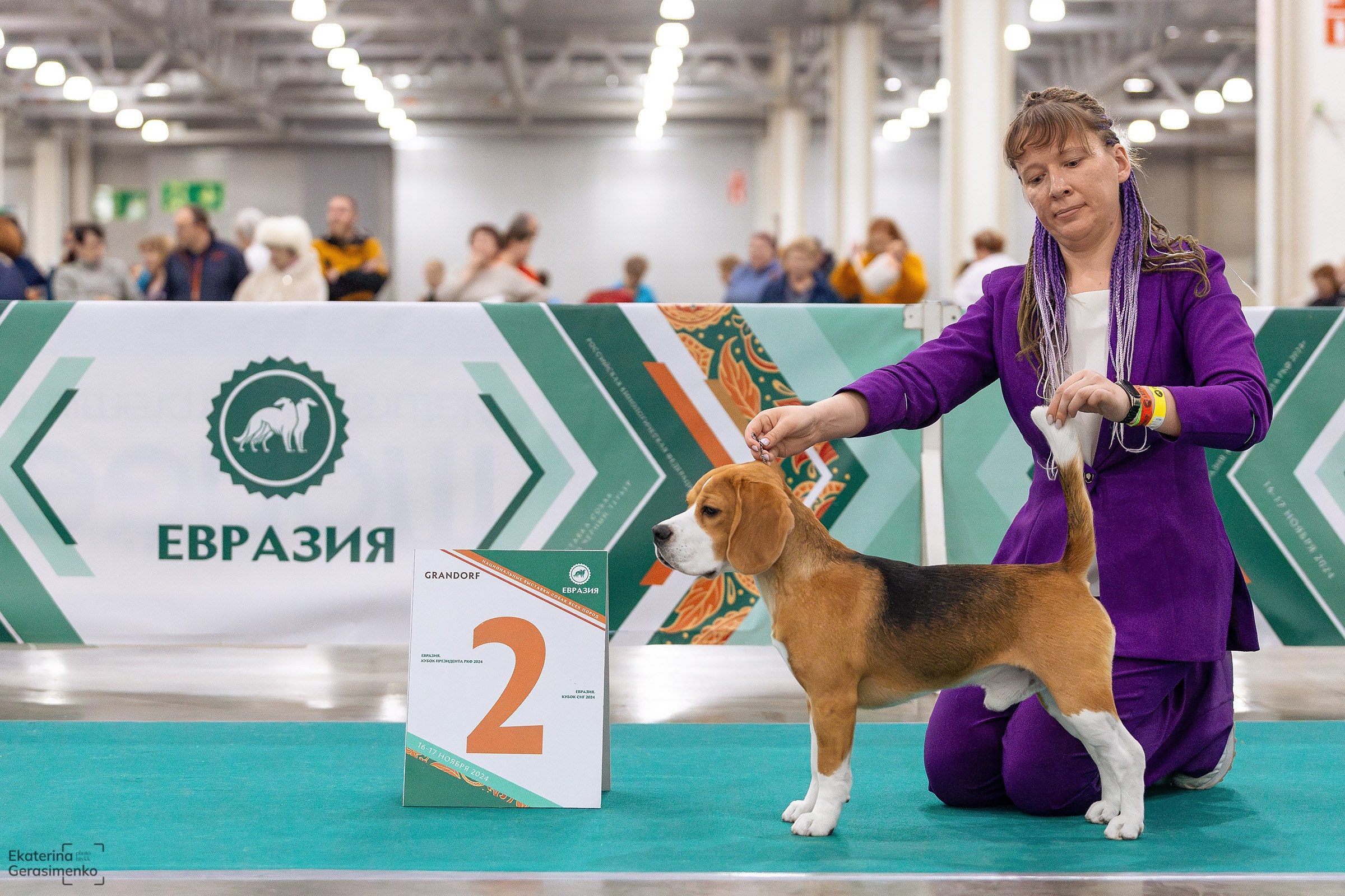 16–17 ноября 2024, Выставка ЕВРАЗИЯ, г. Москва. Htykk_photo