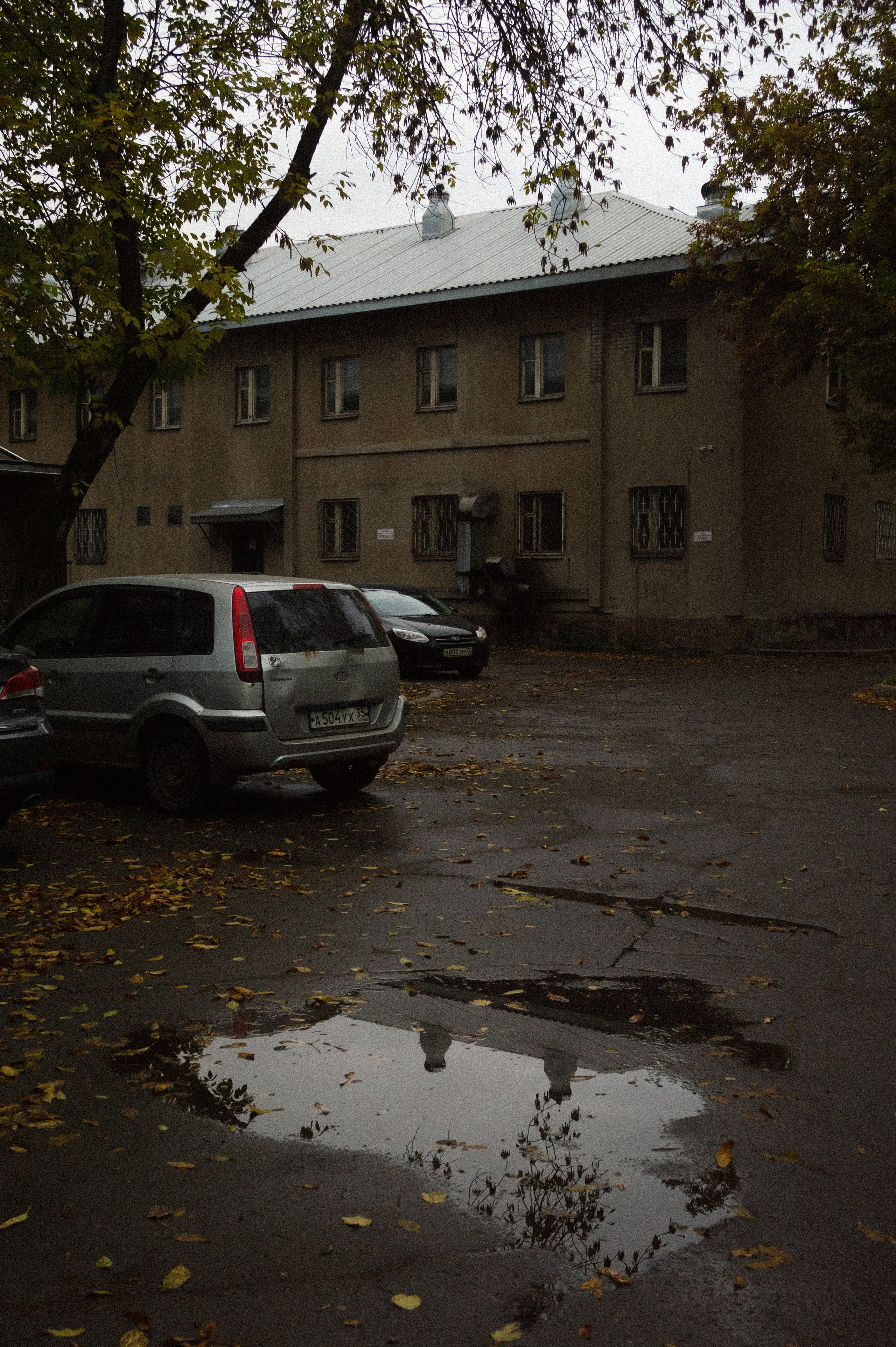 Октябрь 2025. Den Mirov — Фотограф, Музыкант