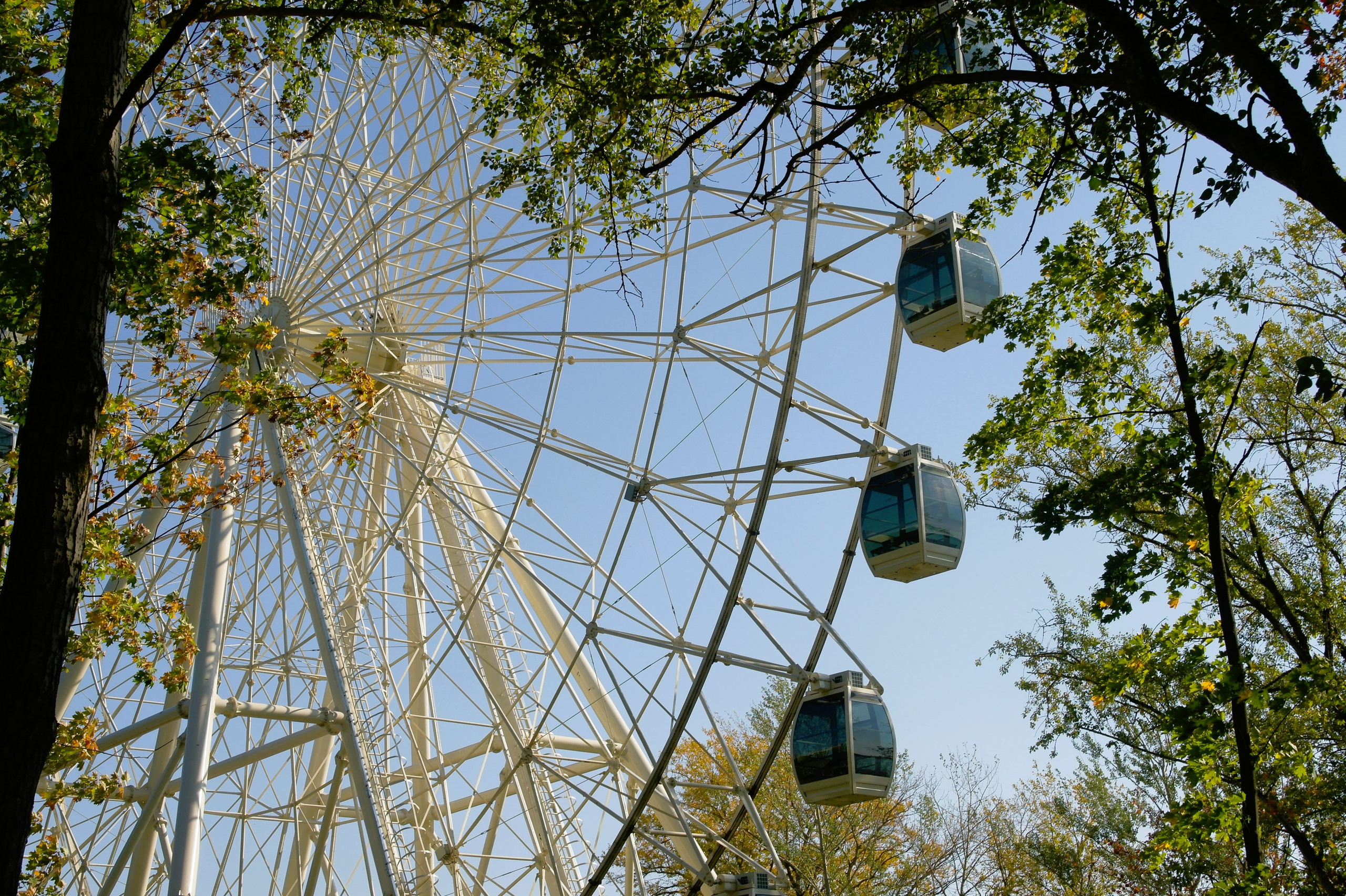 Сентябрь 2025. Den Mirov — Фотограф, Музыкант