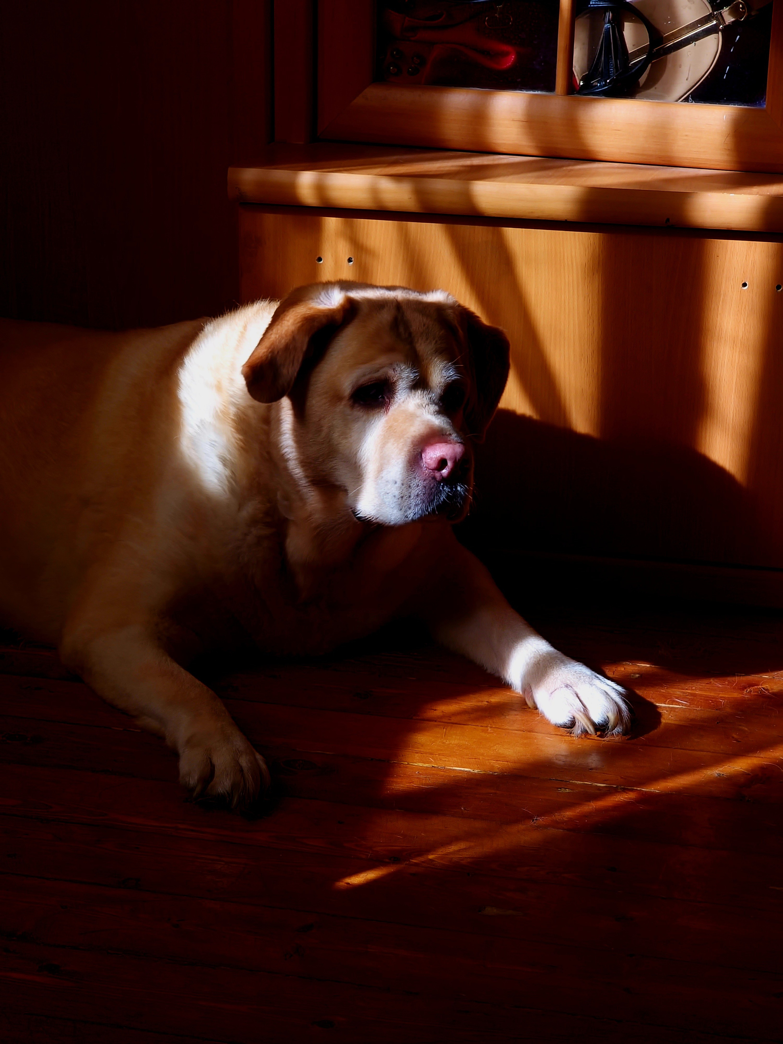 Август 2025. Den Mirov — Фотограф, Музыкант