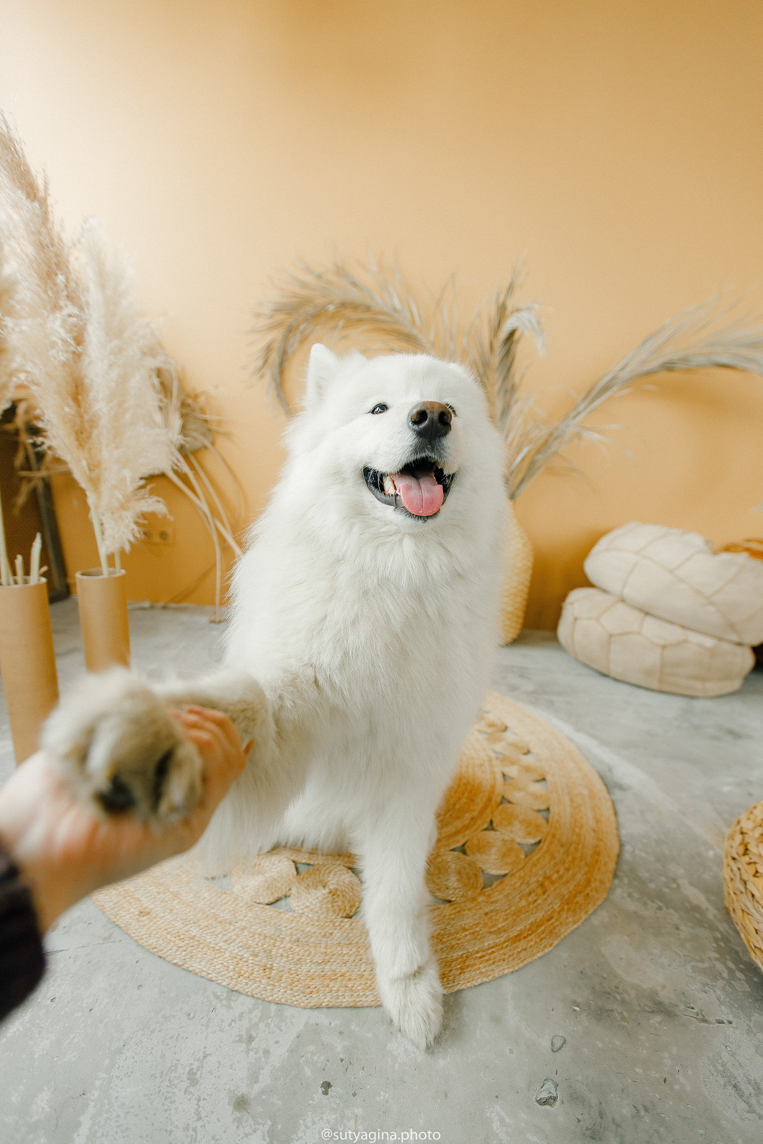 Самоед Мартин. Свадебный и женский фотограф