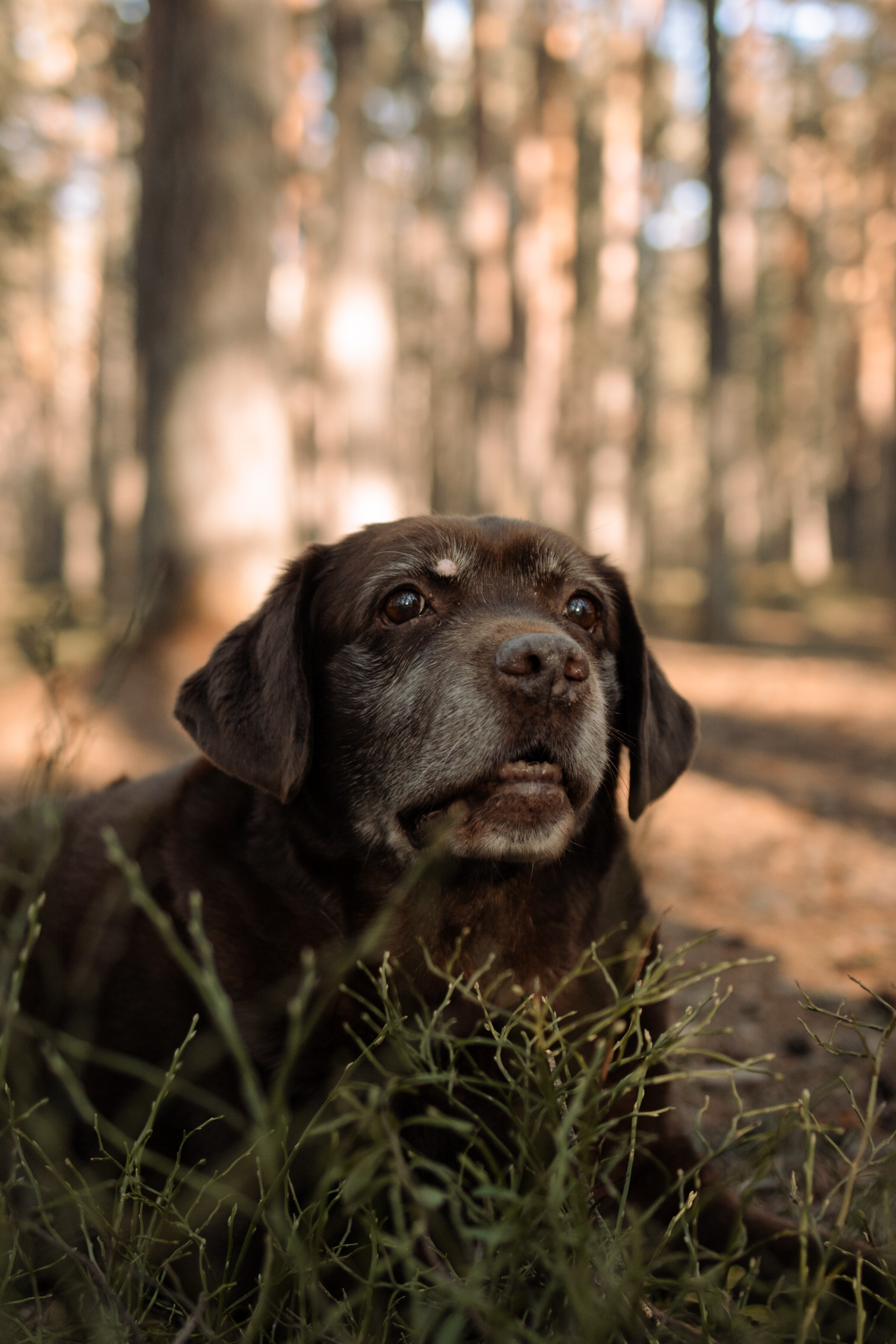 Оля и Питоня. Фотограф — Анималист | Санкт-Петербург