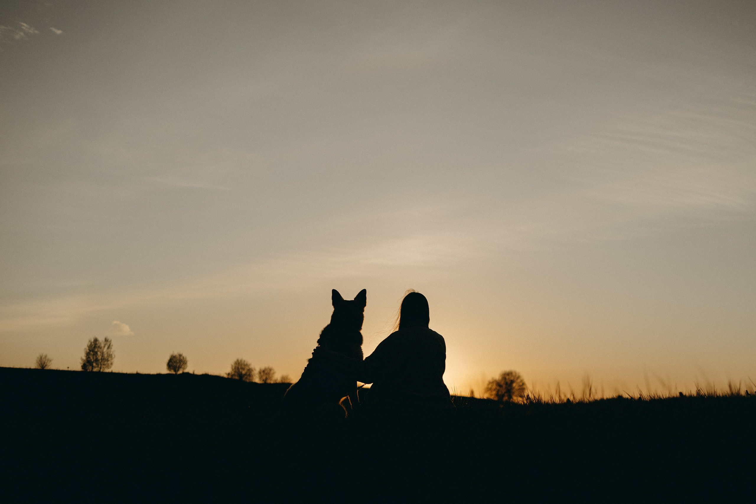 Саша и Зельда. Фотограф — Анималист | Санкт-Петербург
