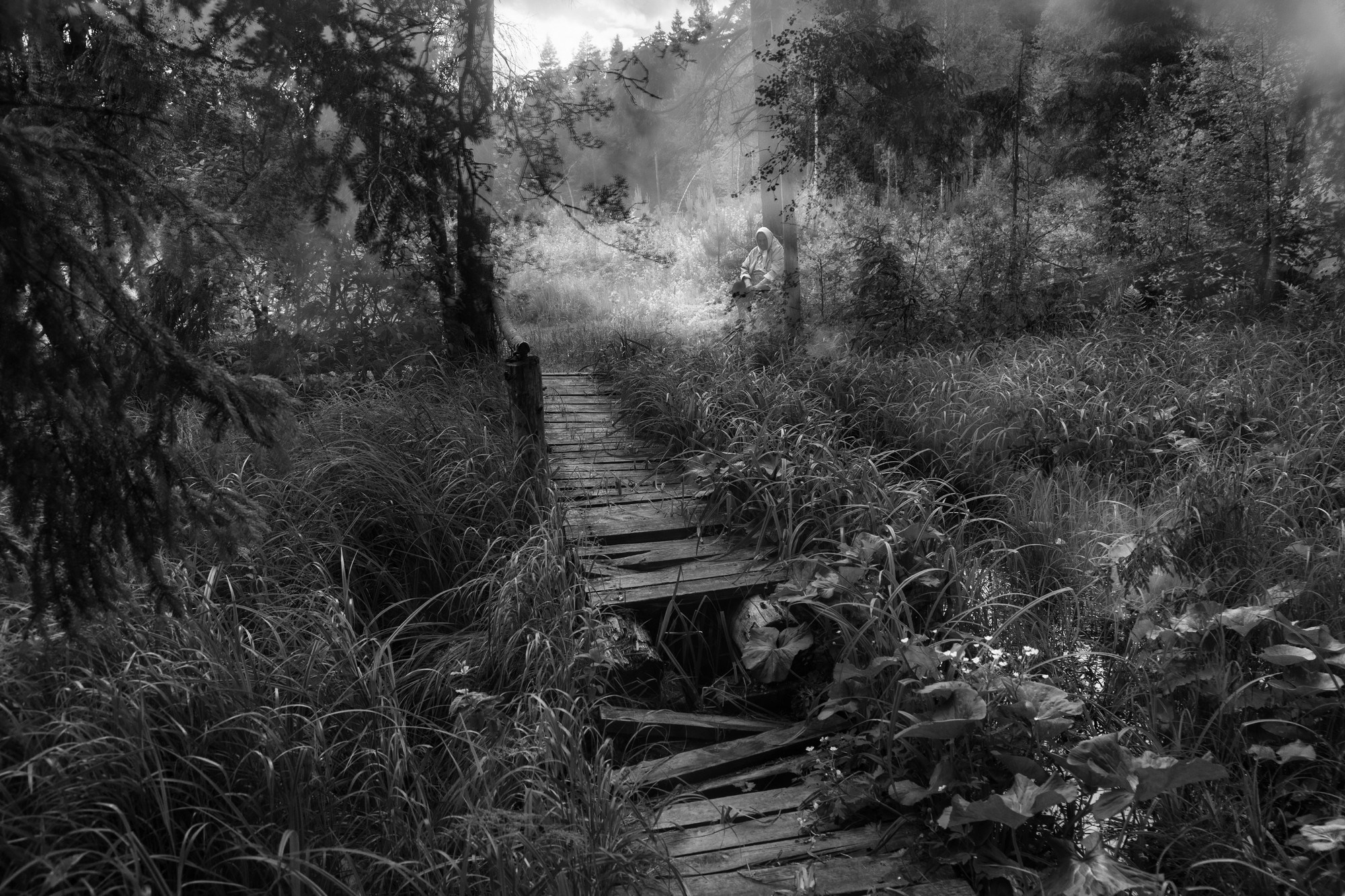 2023— Гран-при. Фотообъединение Самарского областного отделения Союза журналистов России