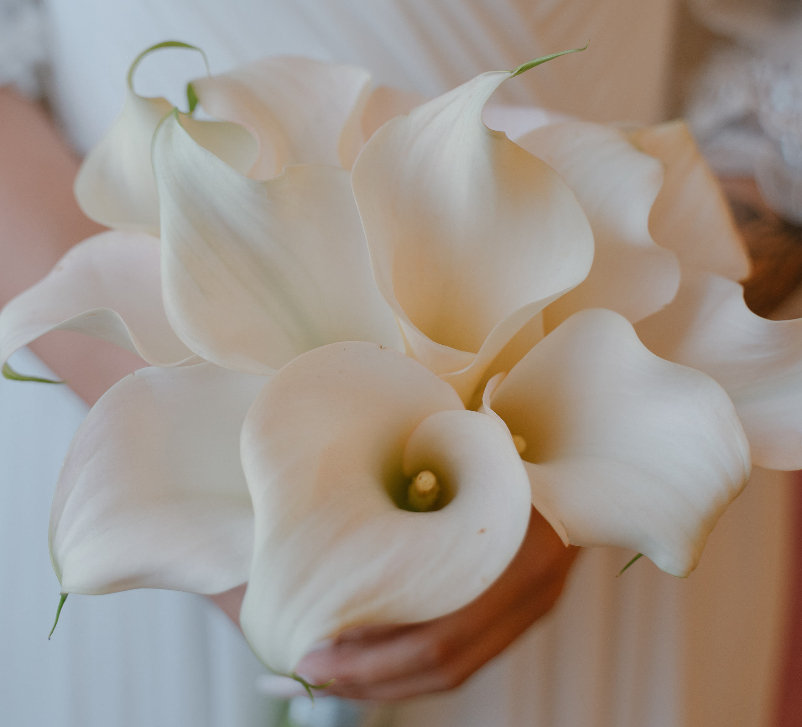 23 09 2022. Свадебный фотограф — Наталья Фед СПб/Москва