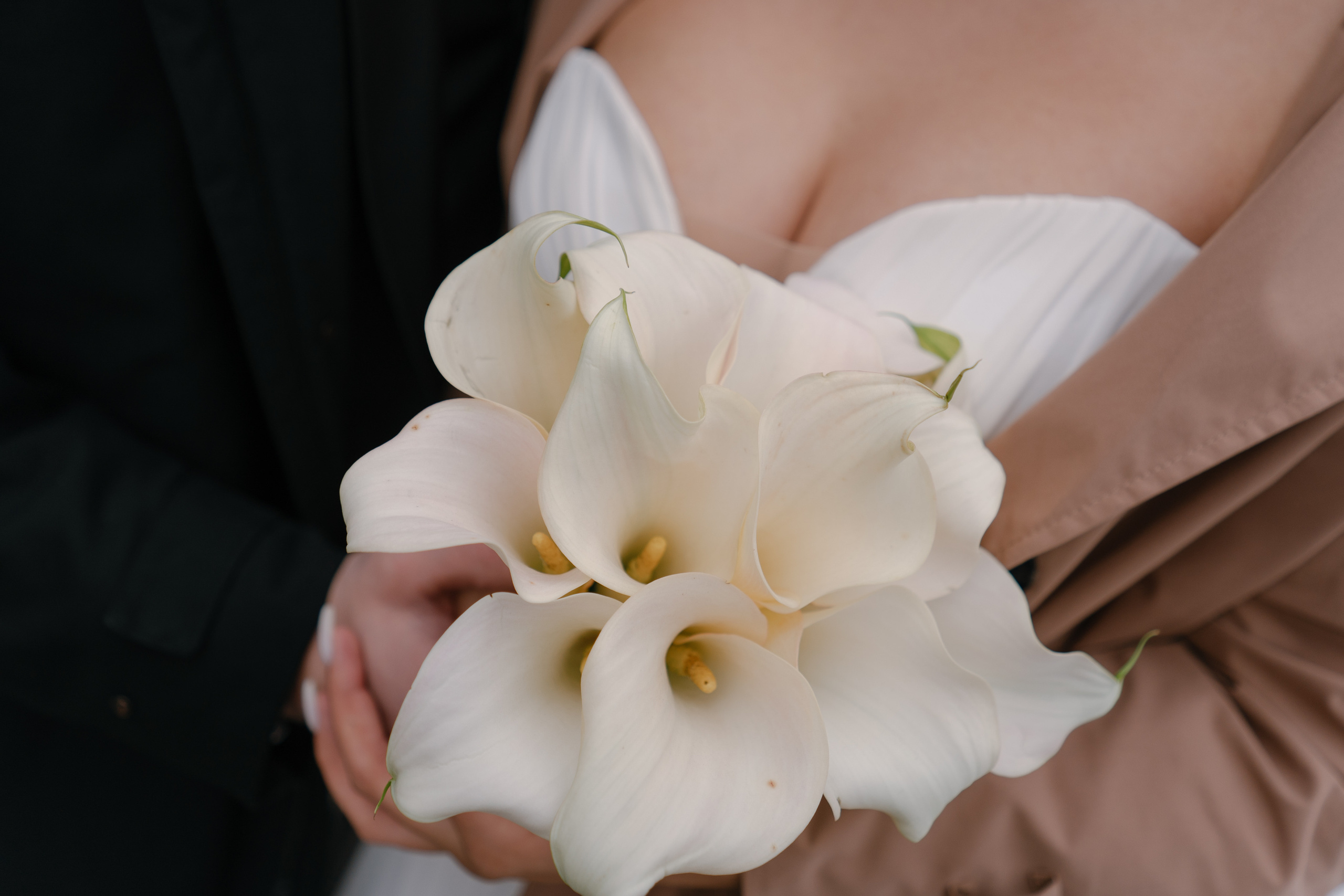 23 09 2022. Свадебный фотограф — Наталья Фед СПб/Москва