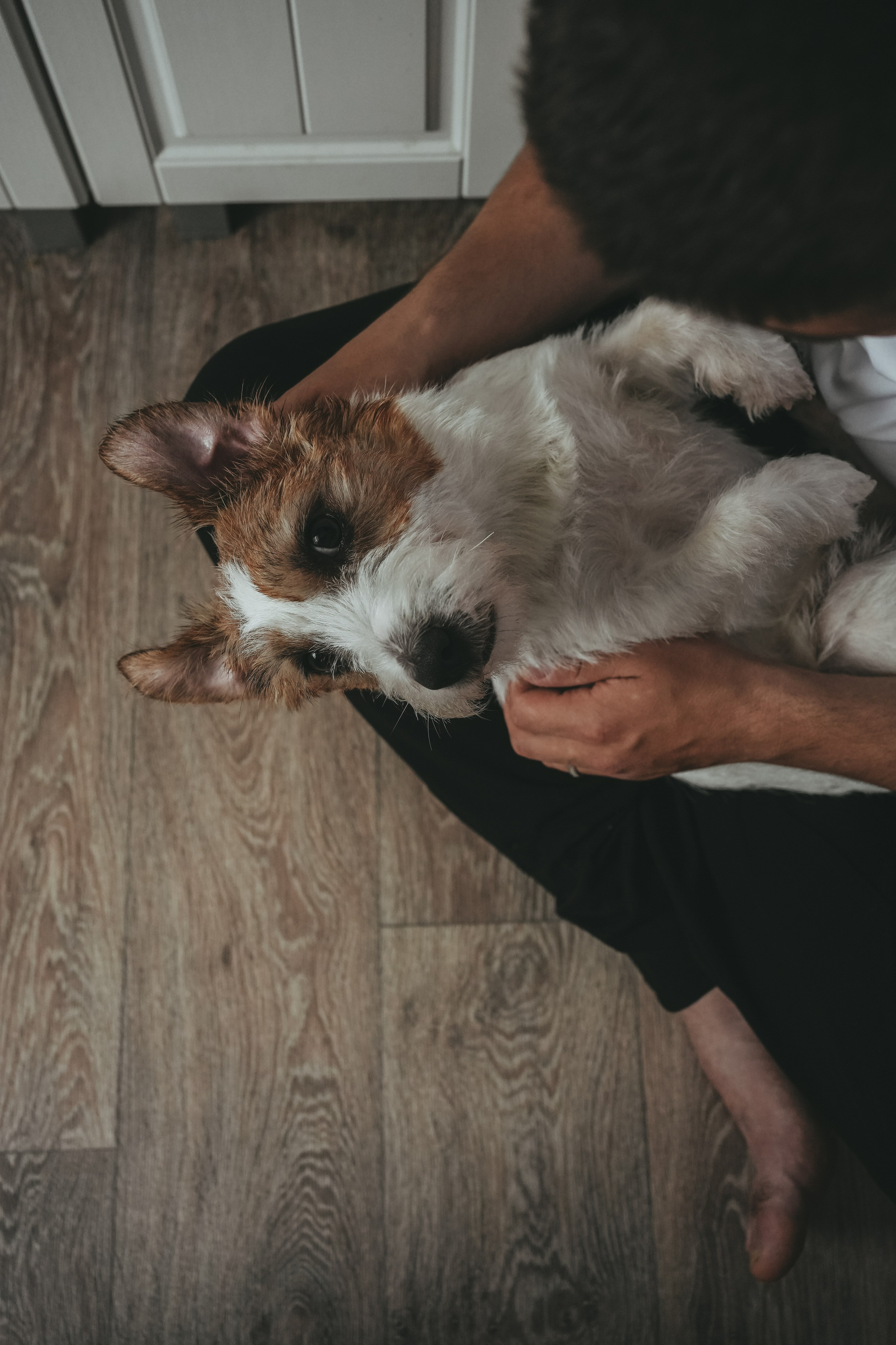 Иван, Мария и Майло. Семейный и детский фотограф Плесецк, Мирный Марина Забабурина
