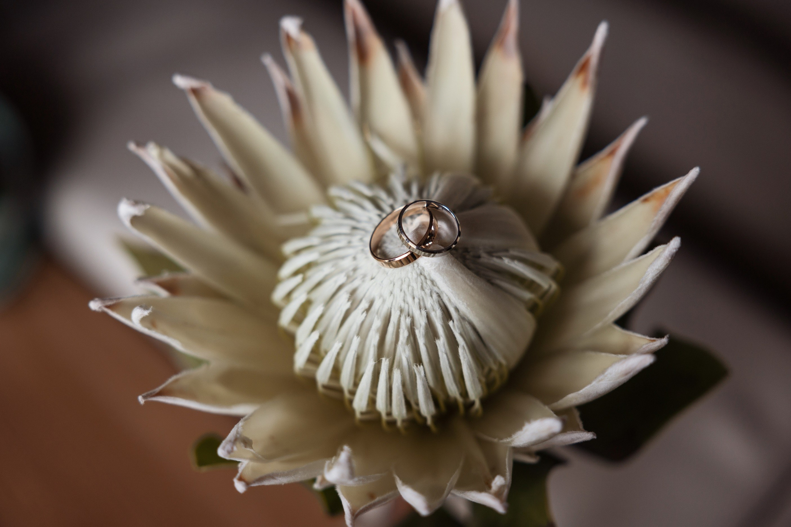 Иван и Яна. Свадебный фотограф в Санкт-Петербурге Рябикин Александр , занимаюсь св