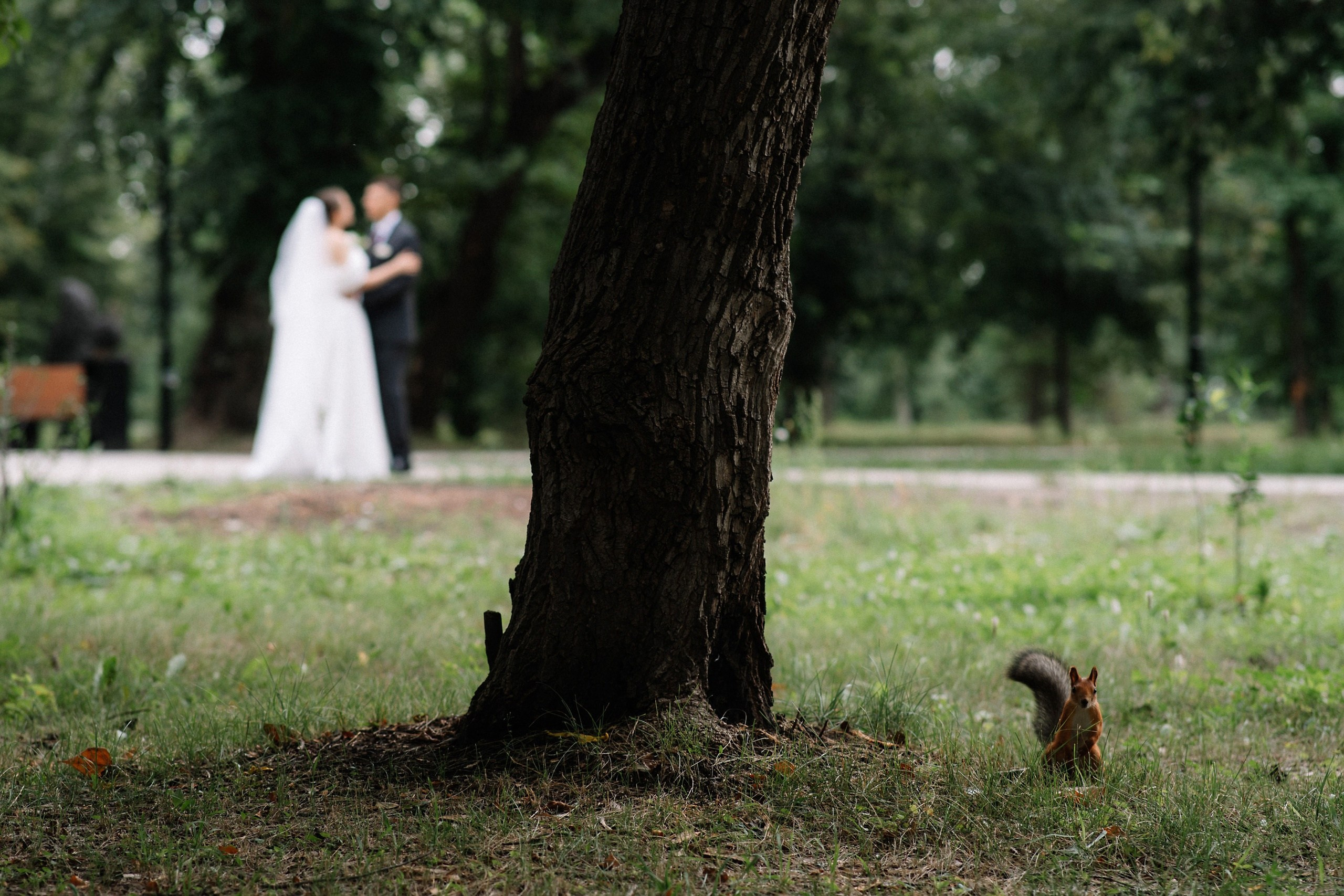 Свадебный фотограф Барнаул