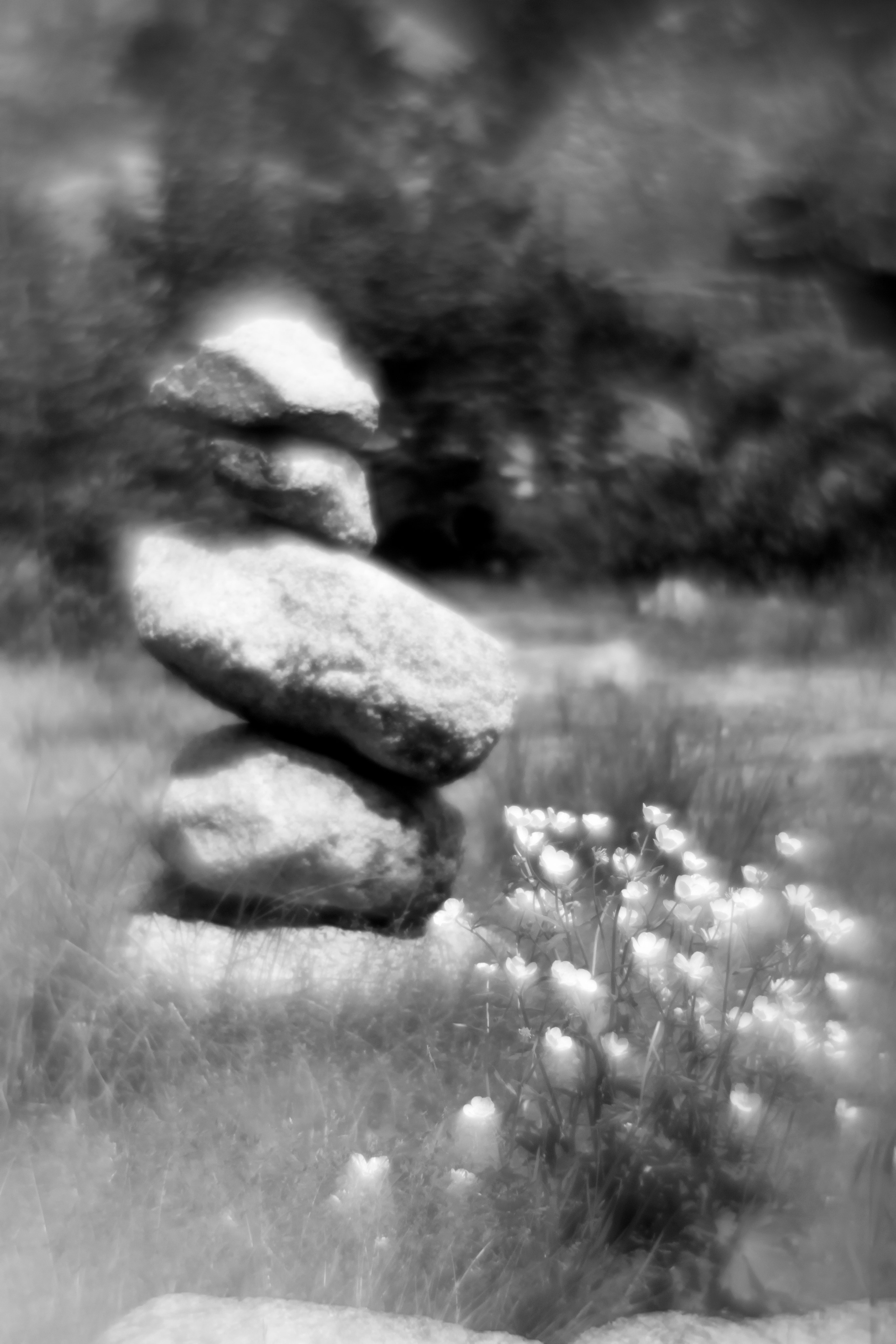 «Фотострелка» | Фестиваль черно-белой фотографии. Фотограф в Красноярске Оксана Корчагина