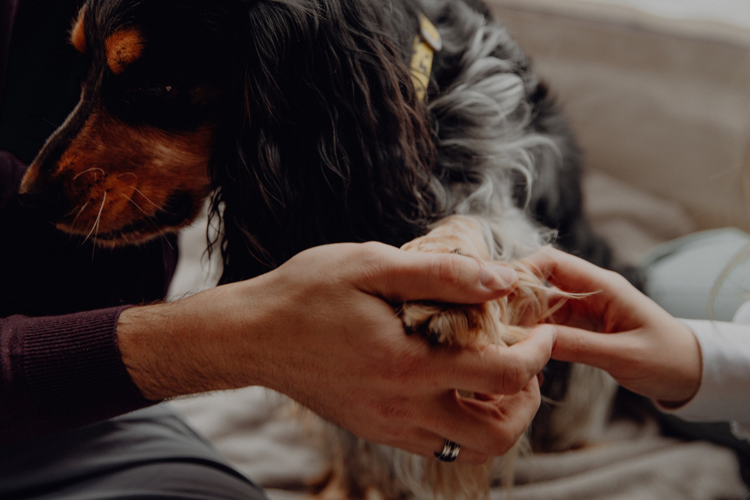 Ася ღ Заур. Портфолио