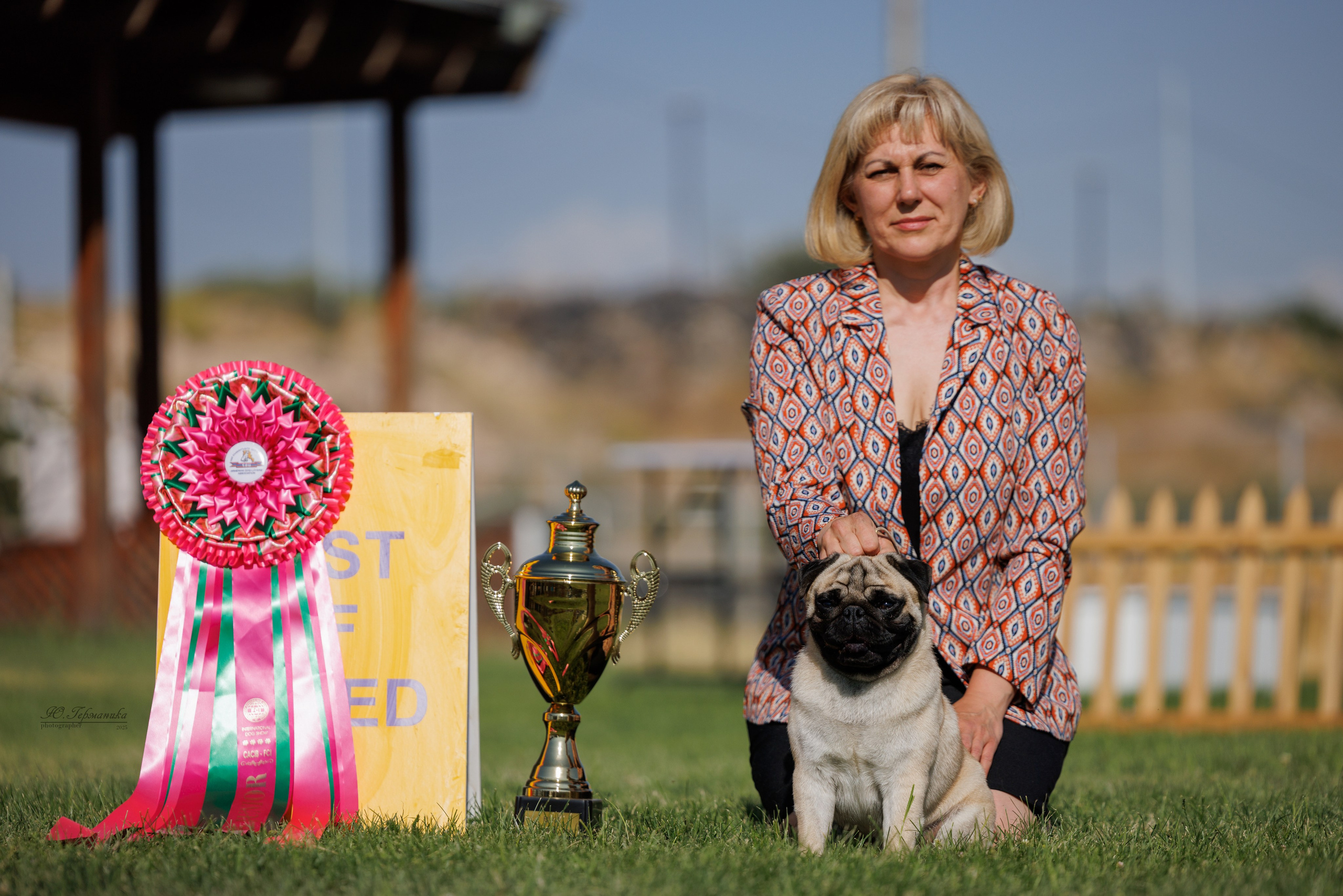 Ереван 3хCACIB 23-25.06.2025. Фотограф-анималист Юлия Германика