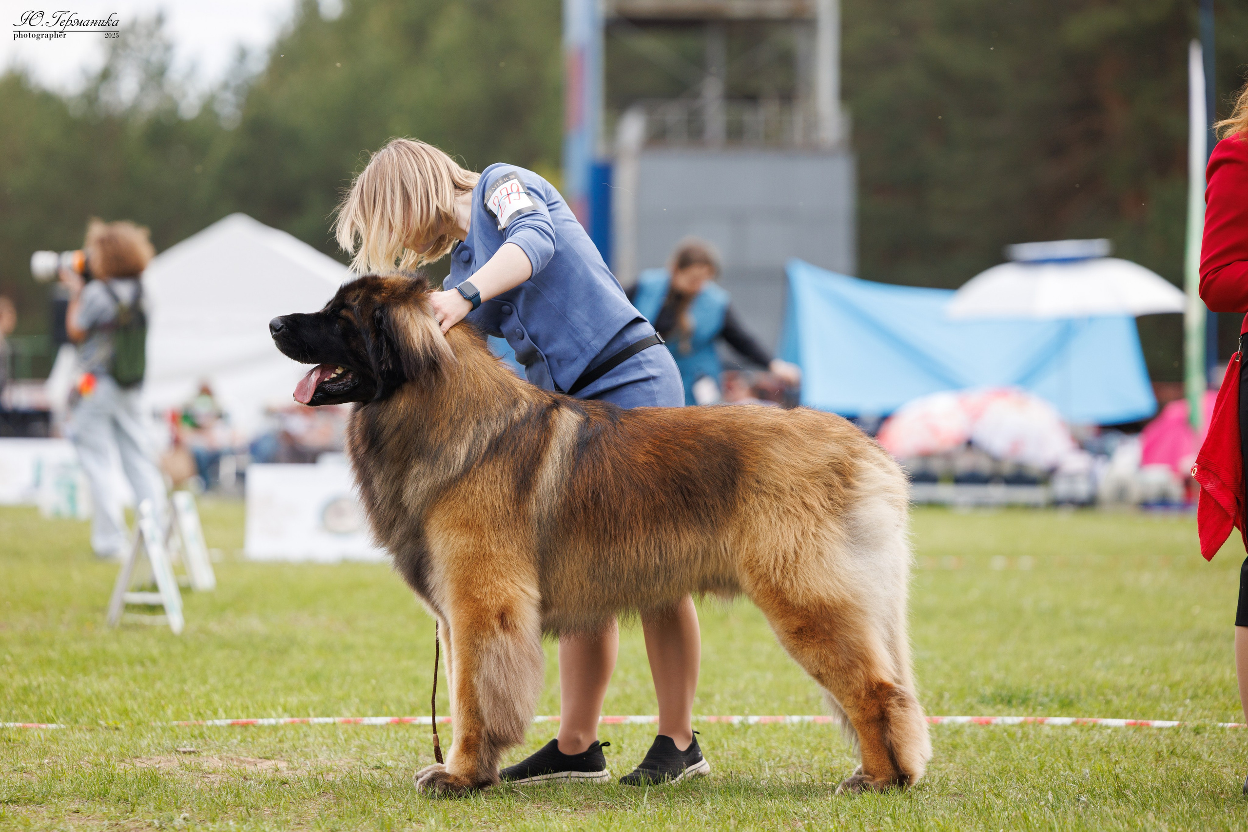 Суздаль(Владимир)17-18.05.2025. Фотограф-анималист Юлия Германика