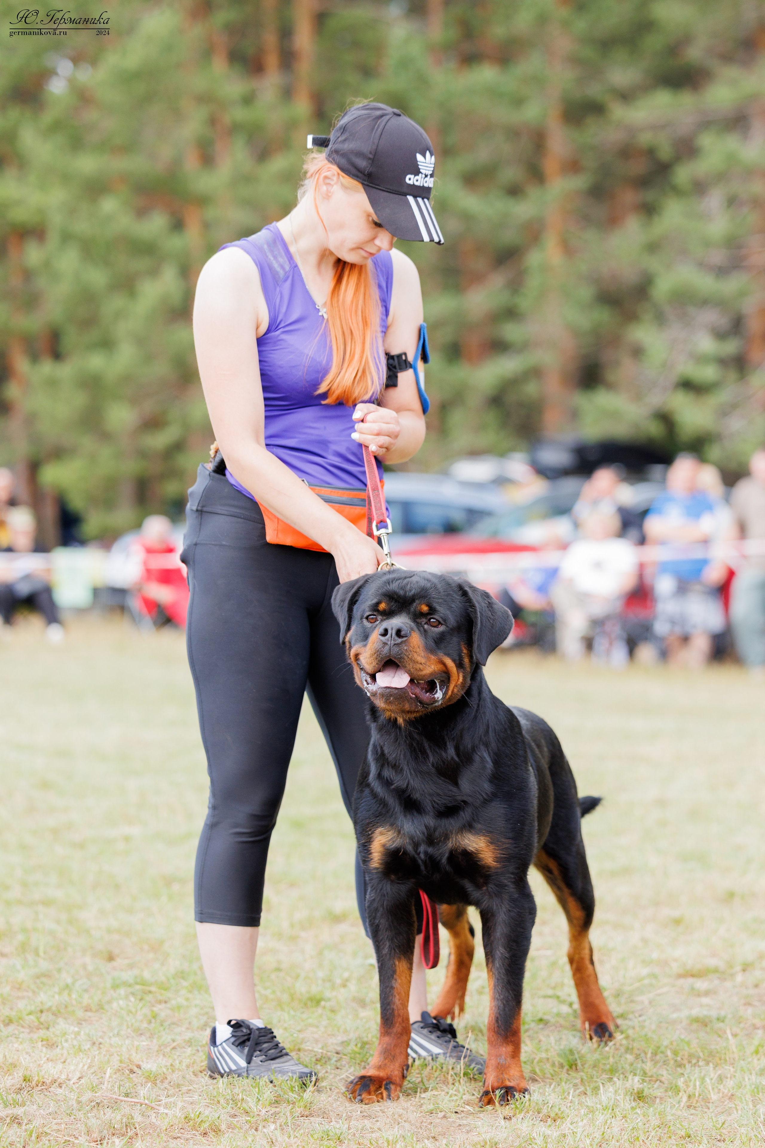 ПК и КЧК ротвейлеры Тверь 6-7.07.2024. Фотограф-анималист Юлия Германика