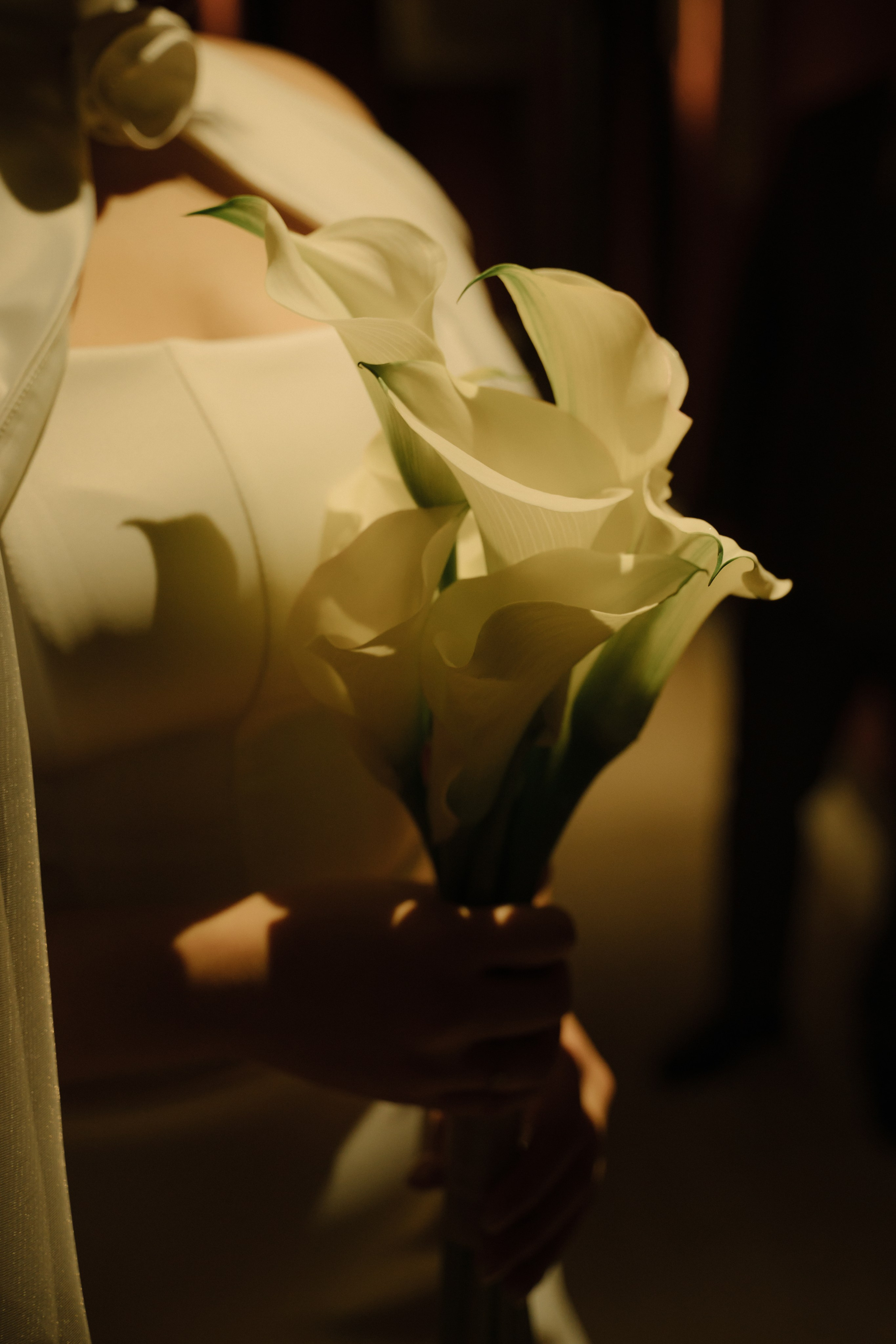 Александр и Вероника. Ваш свадебный и семейный фотограф