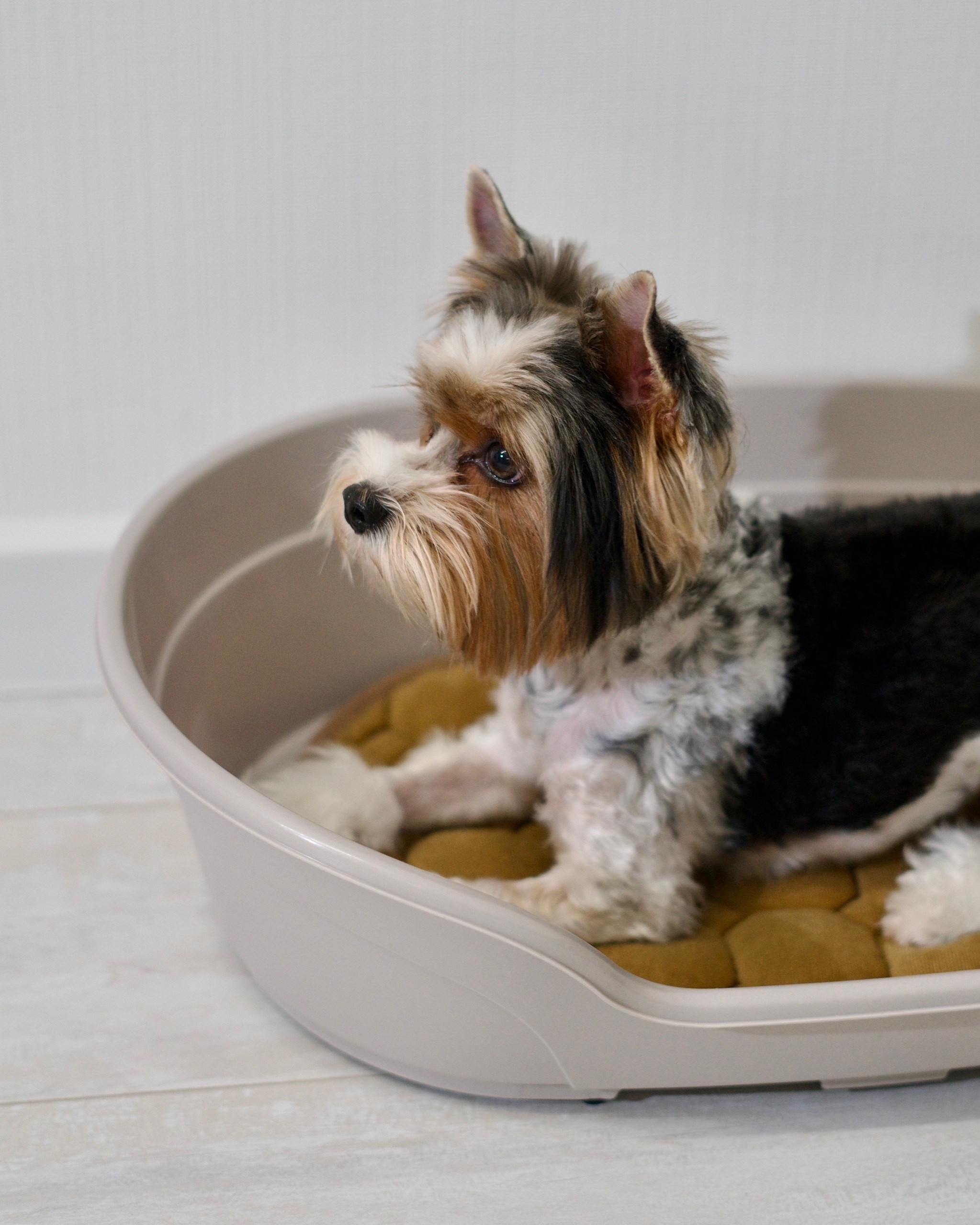 Stefan | Товары для маркетплейсов. Фотограф Александра Волкова | Волгоград