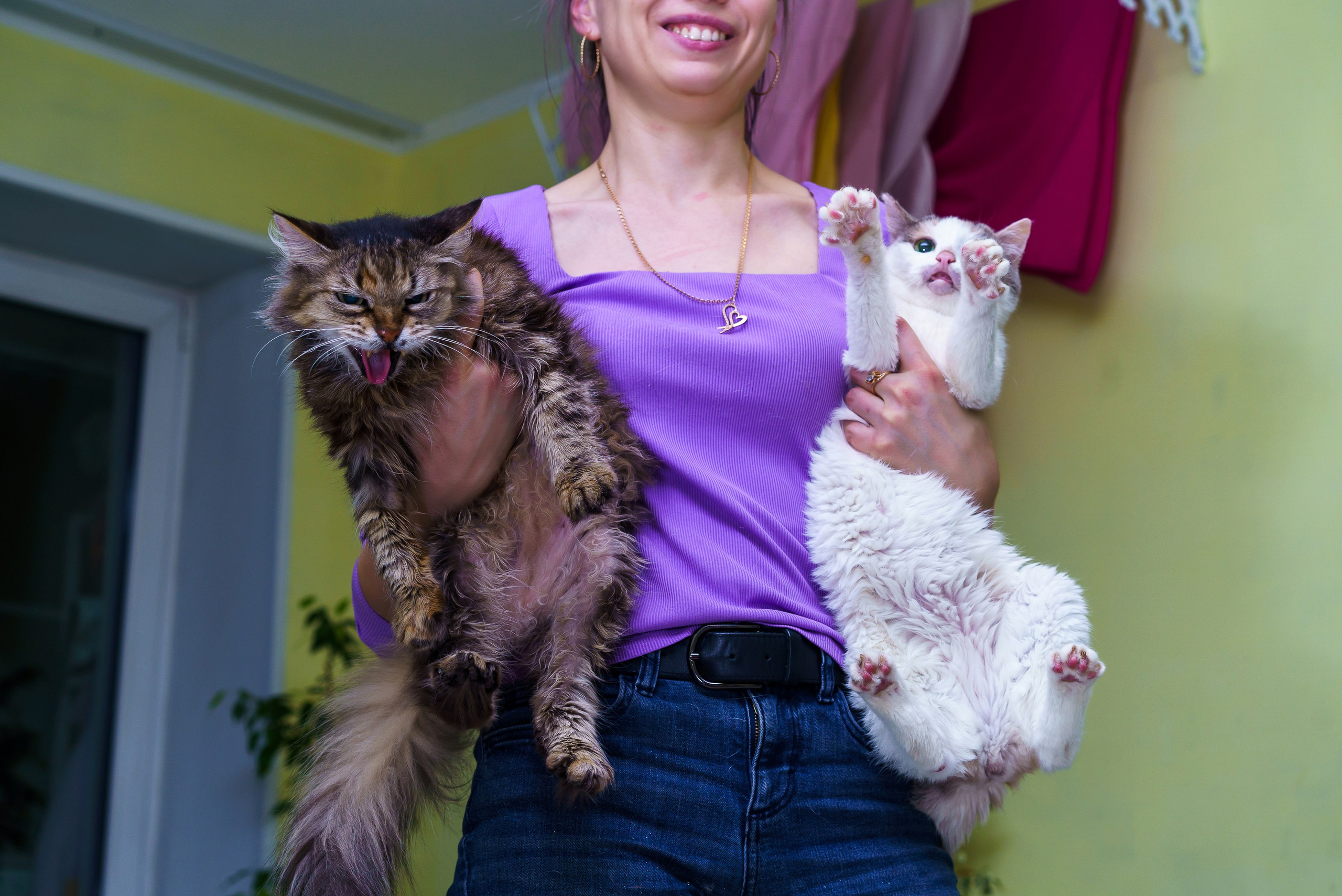 С животными. Фотограф Челябинск · Ольга Серебрякова