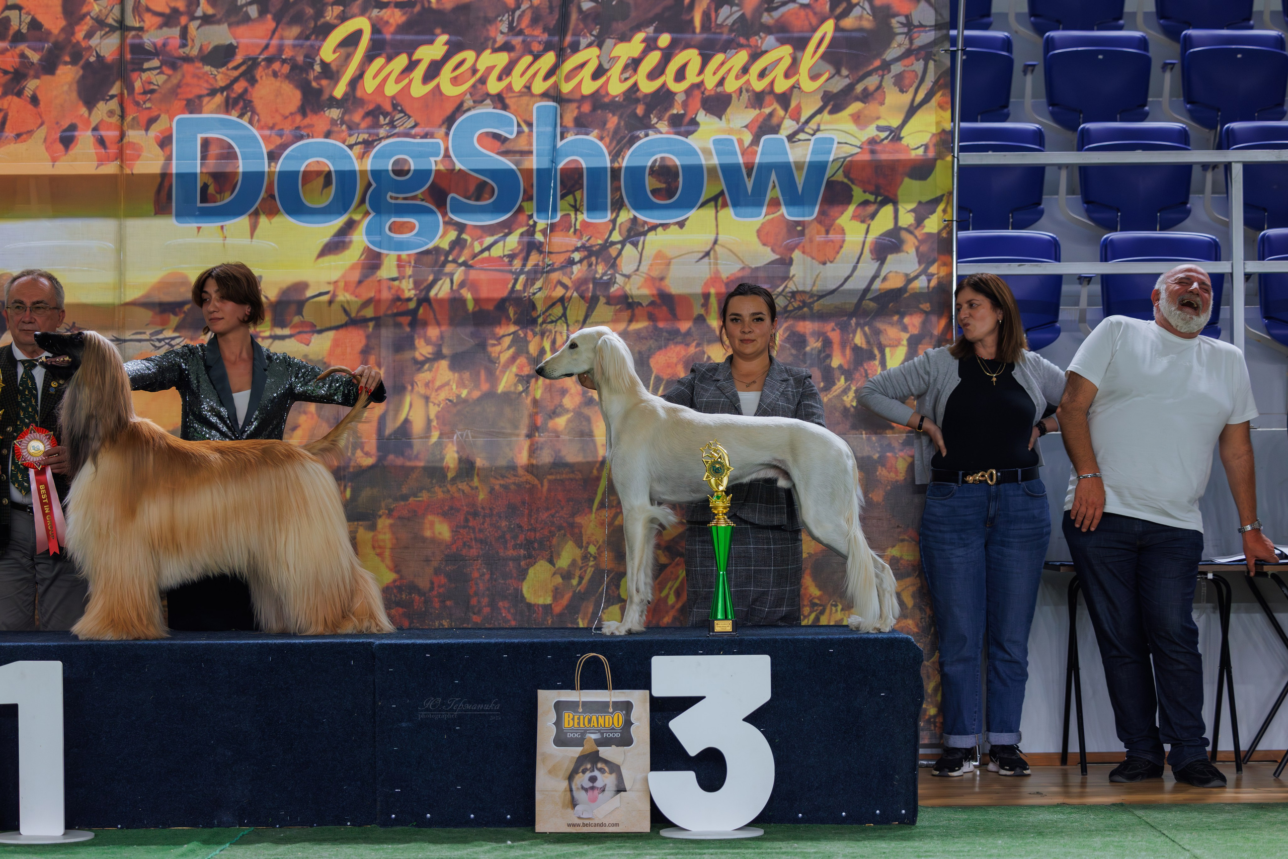 Телави 11-12.10.2025. Фотограф-анималист Юлия Германика